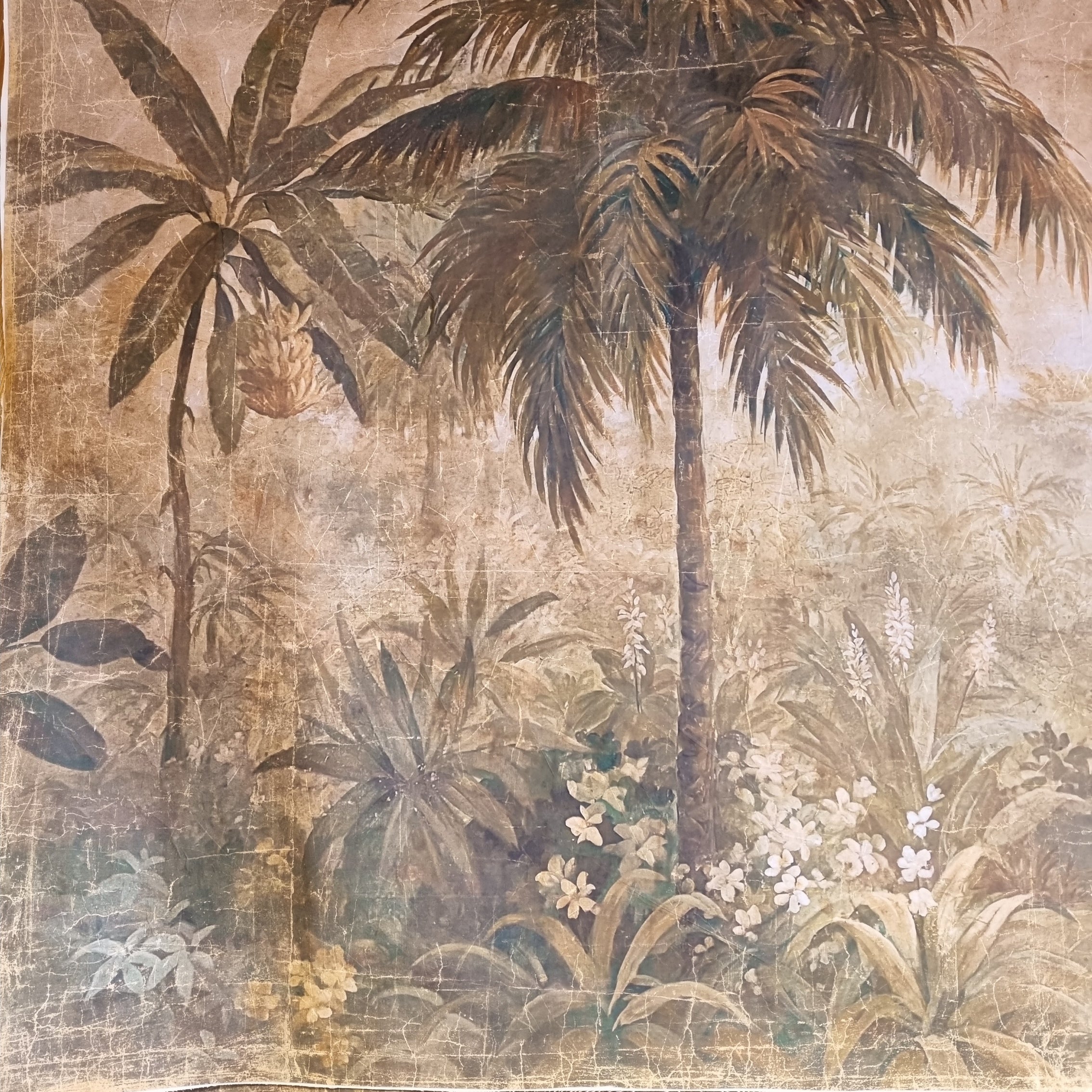 Aurora Palmeraie Canvas Print