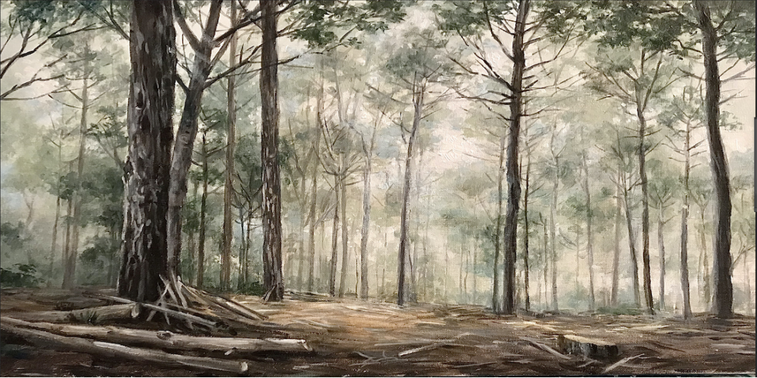 Foret de Pins Canvas Print