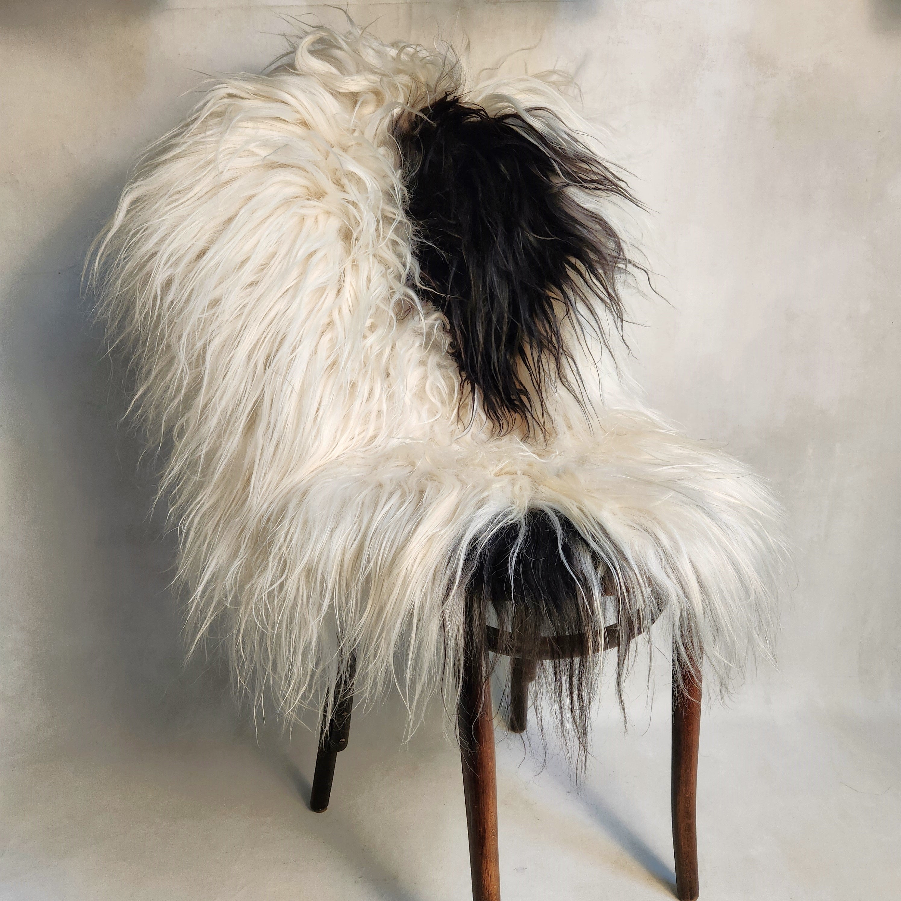 Icelandic Sheepskin - Black/White