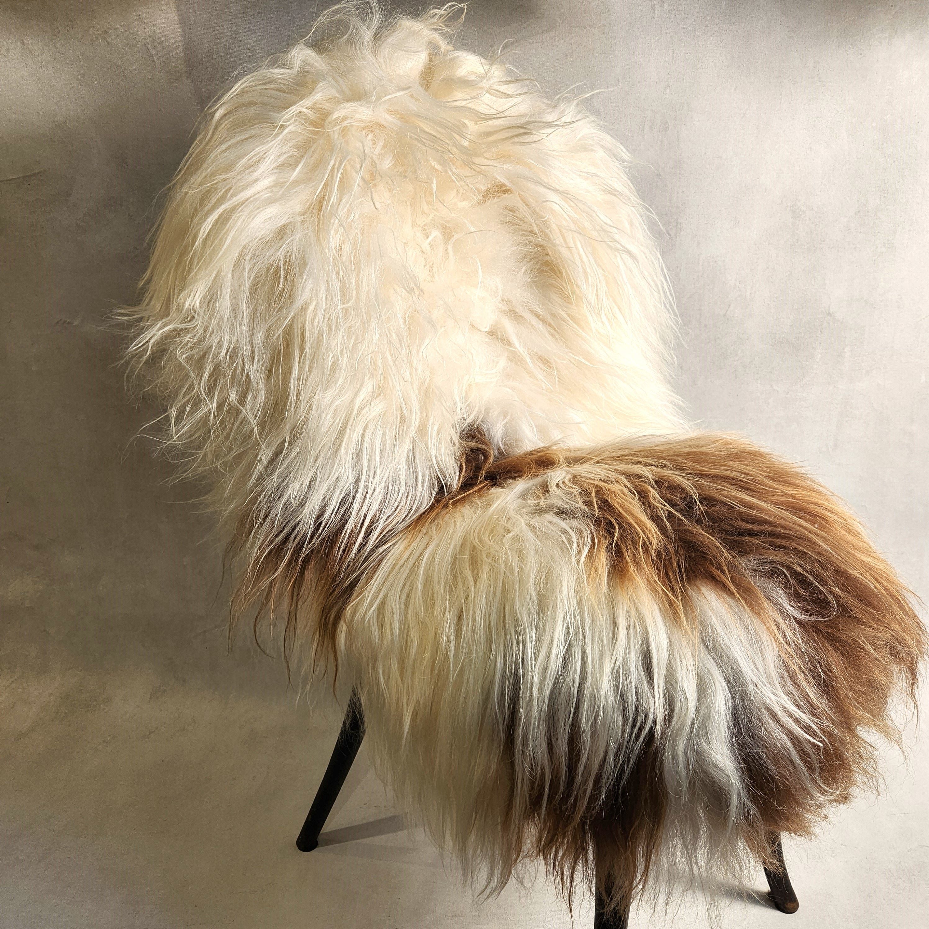 Icelandic Sheepskin - White & Caramel