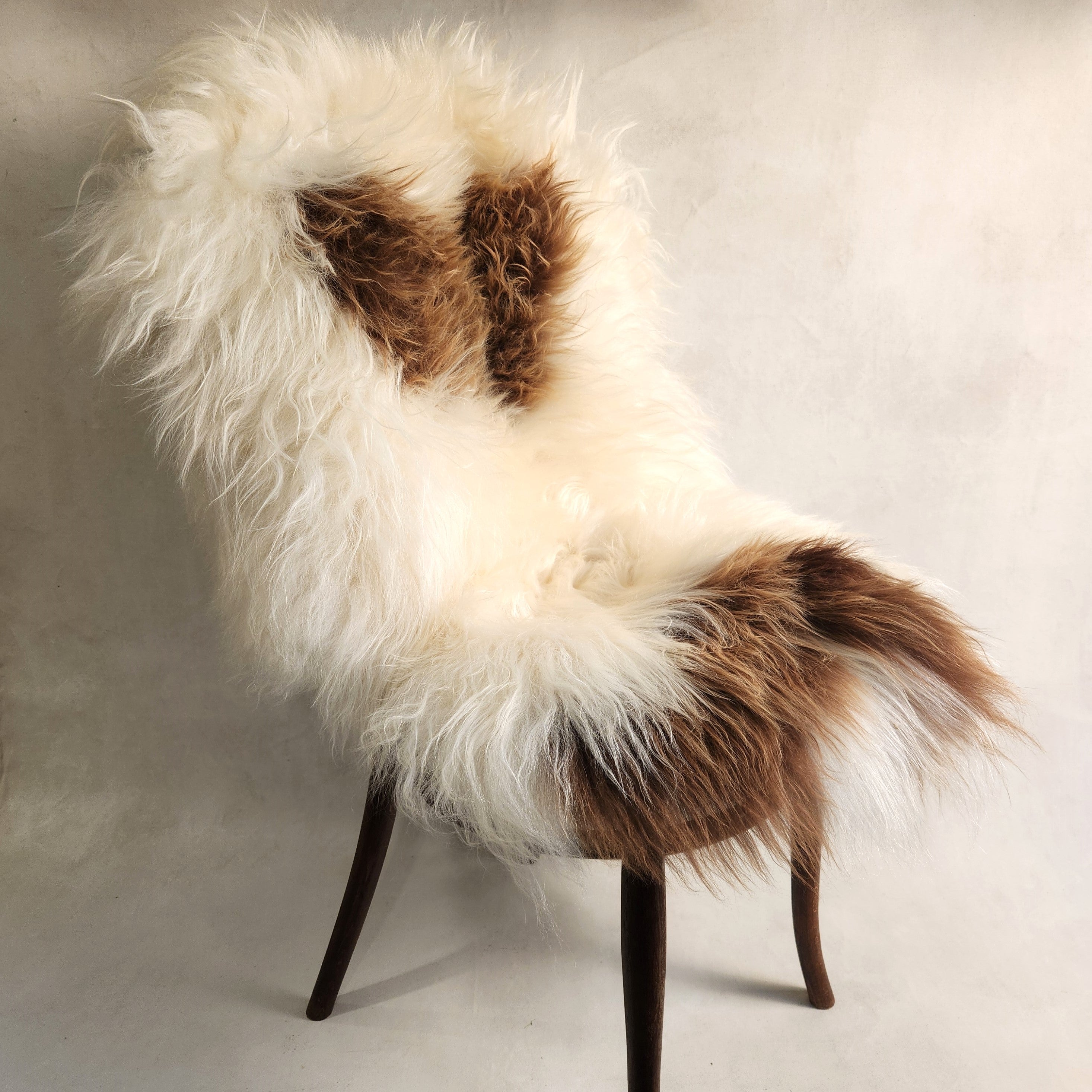 Icelandic Sheepskin - White & Caramel