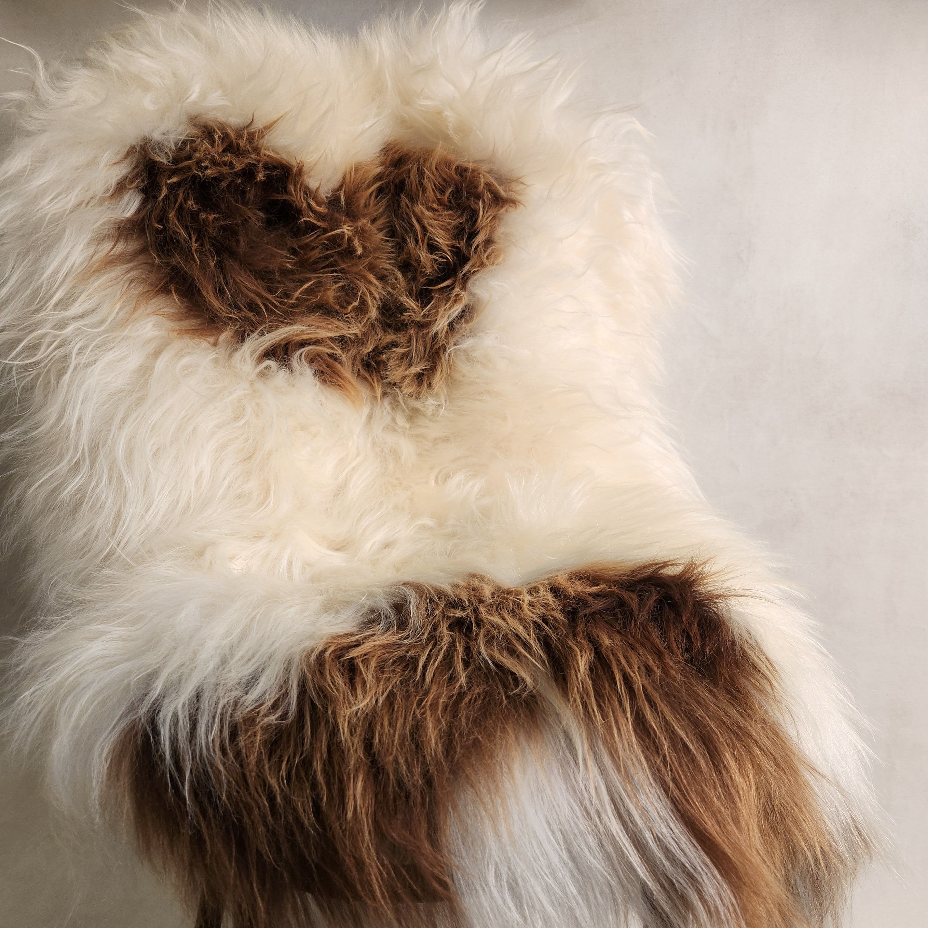 Icelandic Sheepskin - White & Caramel