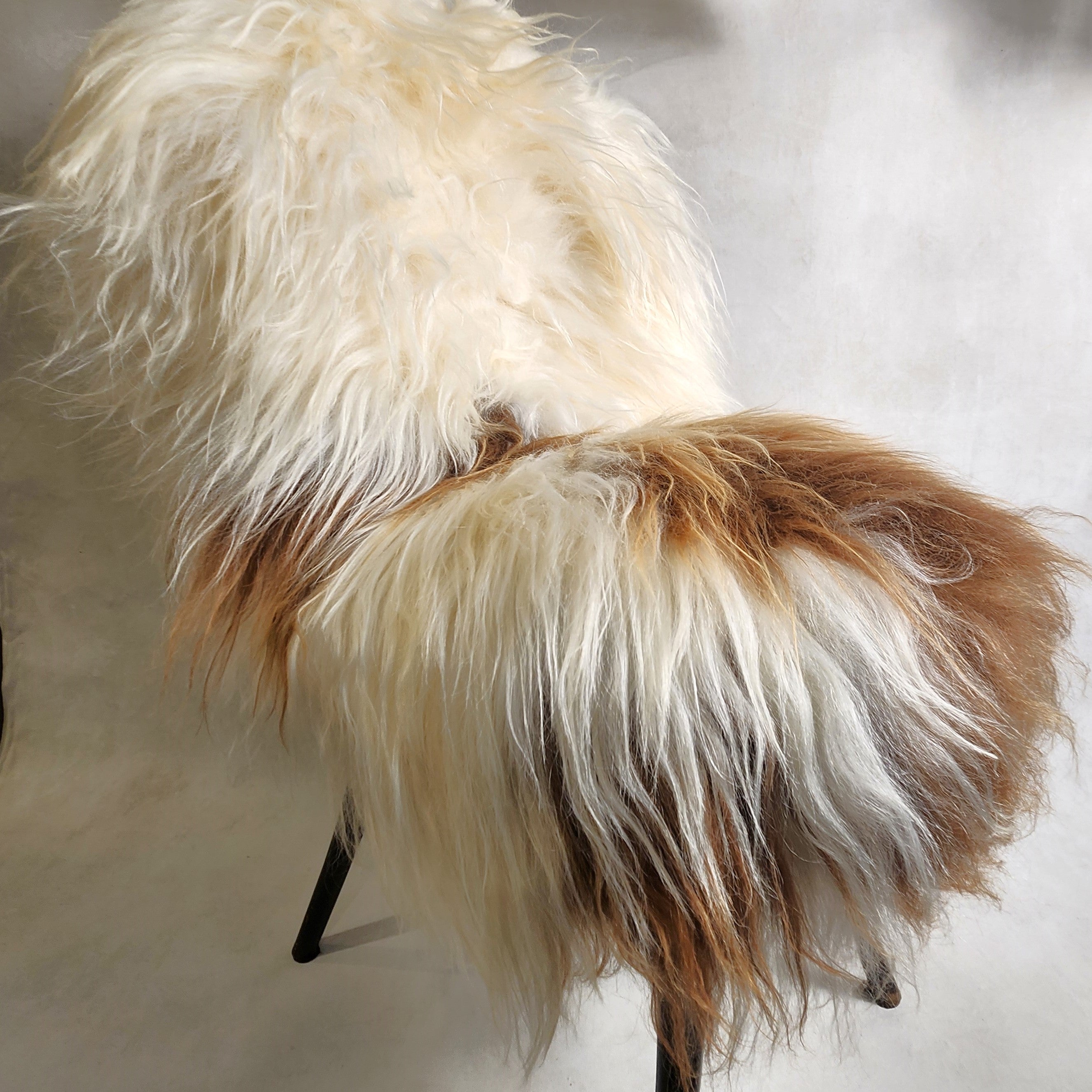Icelandic Sheepskin - White & Caramel