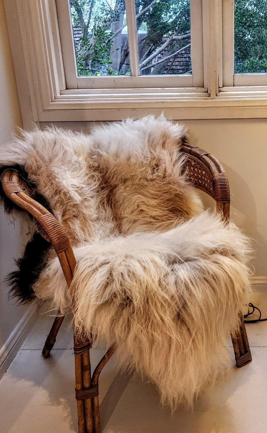 Icelandic Sheepskin - Dark Edges (long hair)