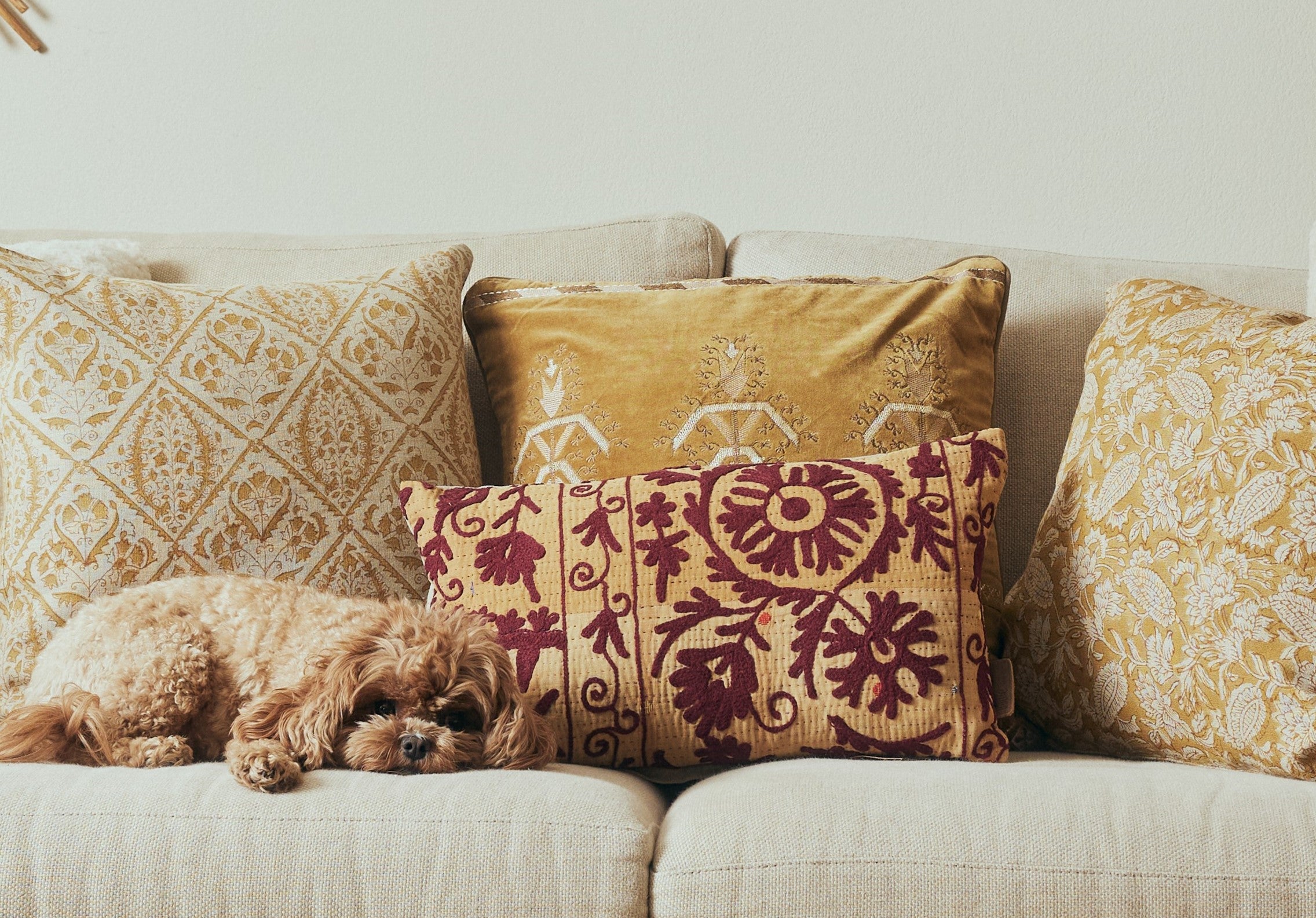 Golden Jojoba Kanika Cushion