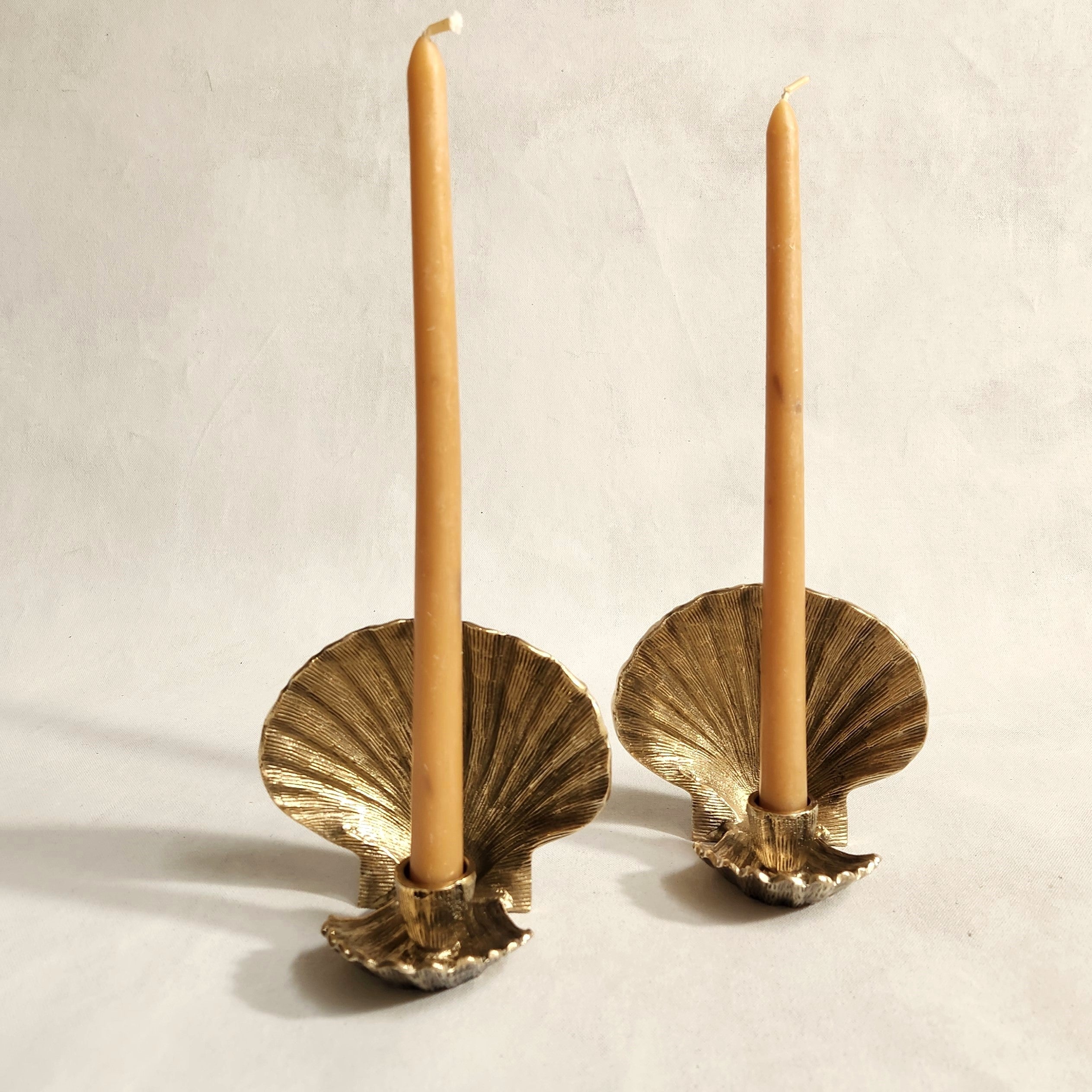 Scarlett Scallop Shell Candleholder