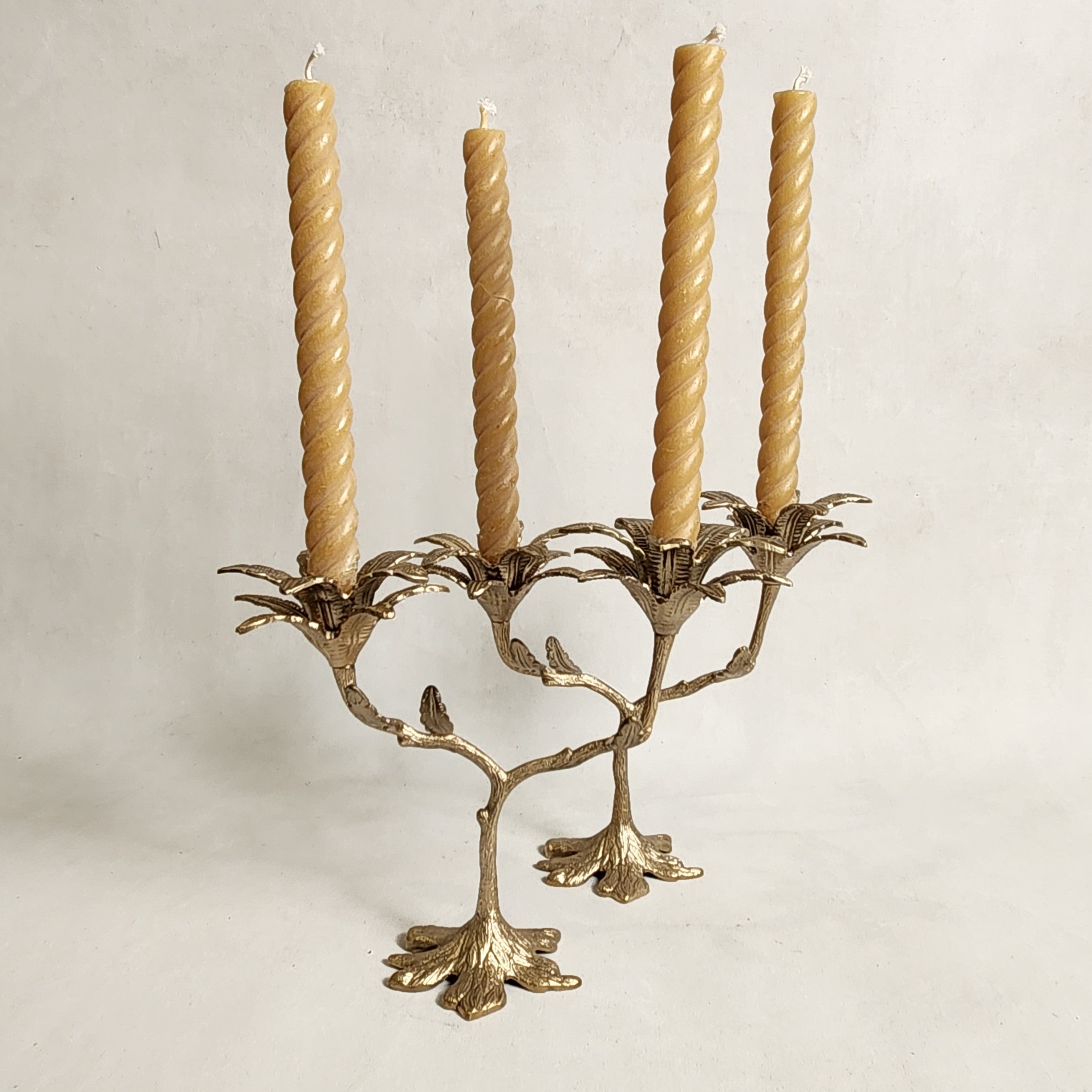 Palash double Palm Candleholder