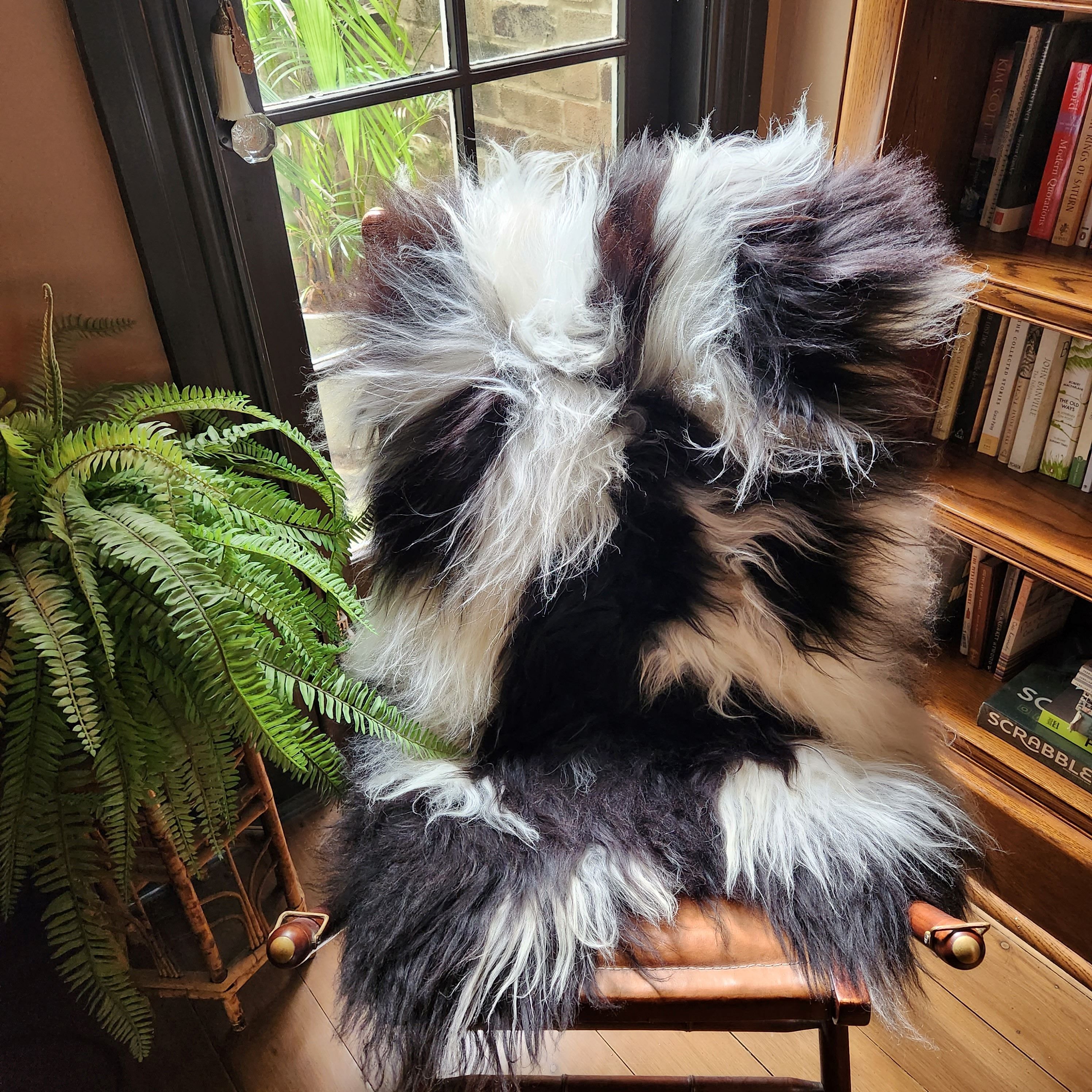 Icelandic Sheepskin - Black/White