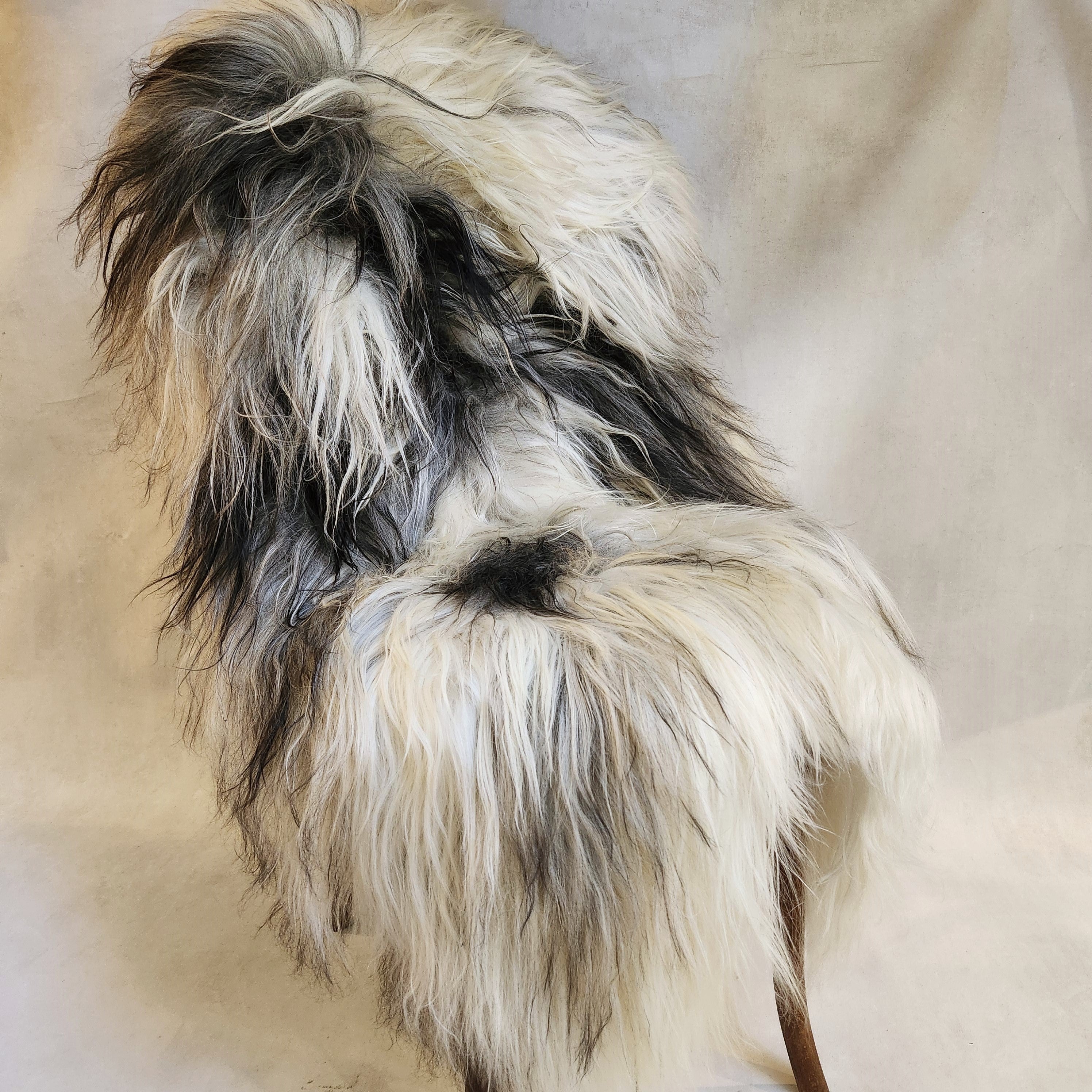 Icelandic Sheepskin - Griggio