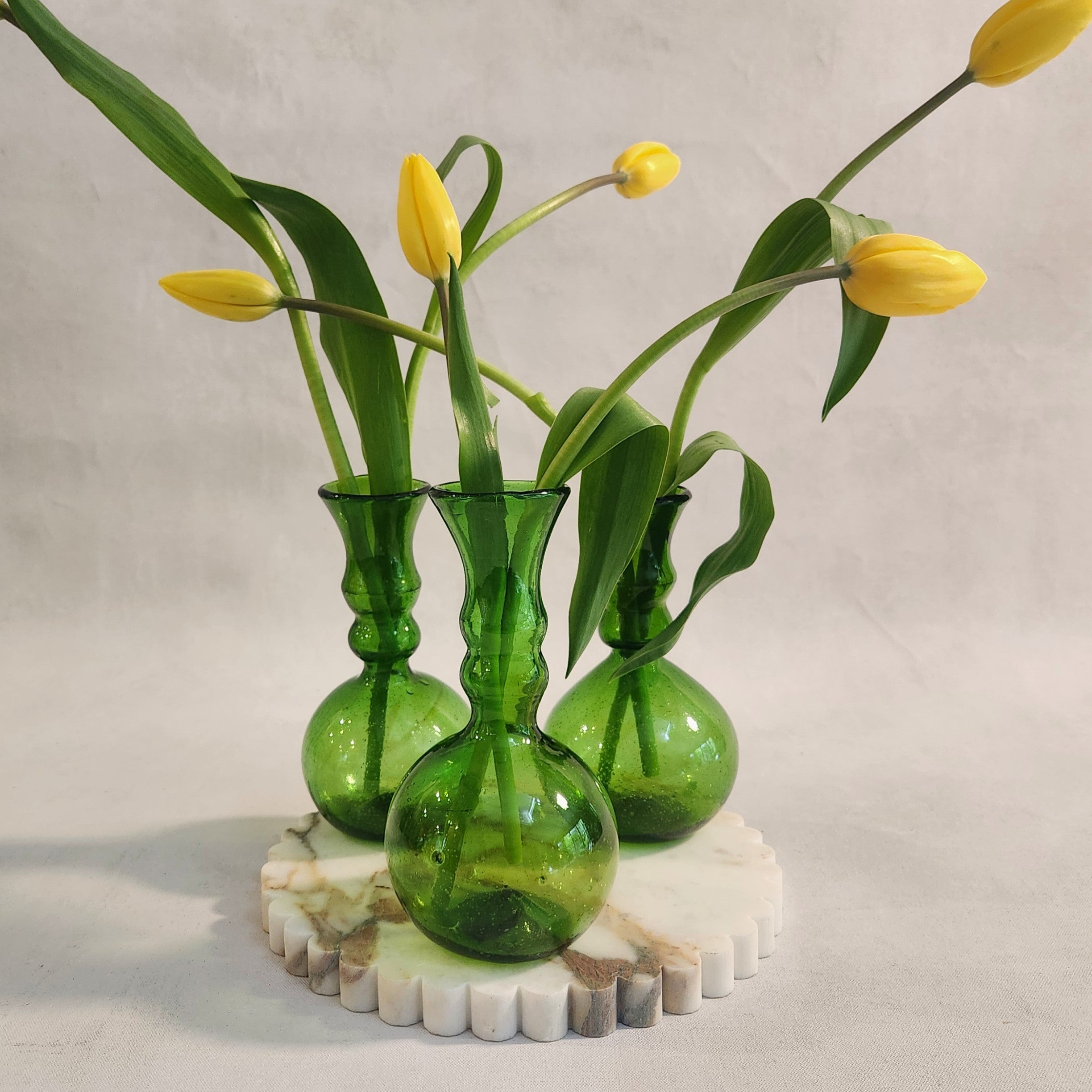 Laveno Montobello Glass Vase - Green