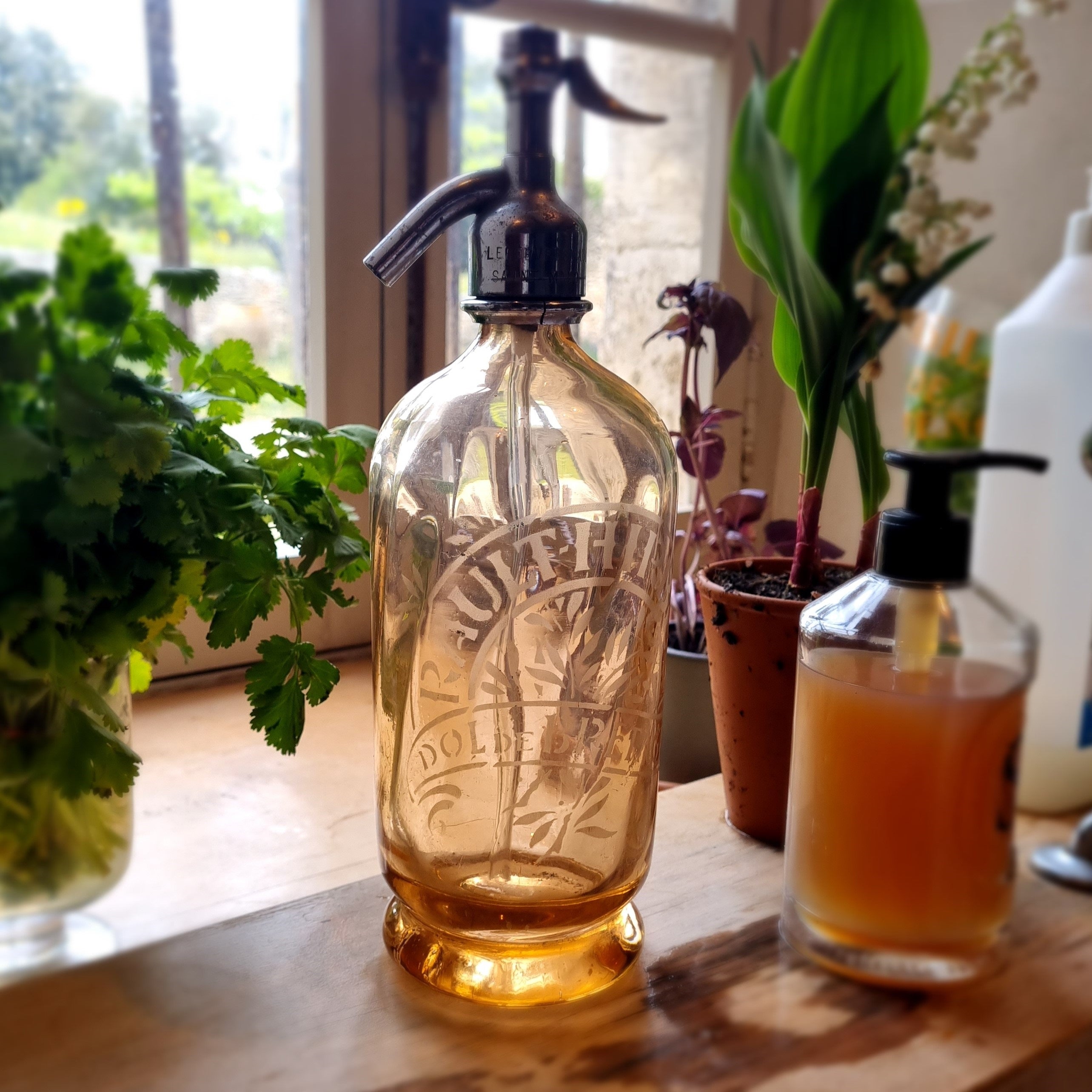 Vintage French Soda Siphon - Peach