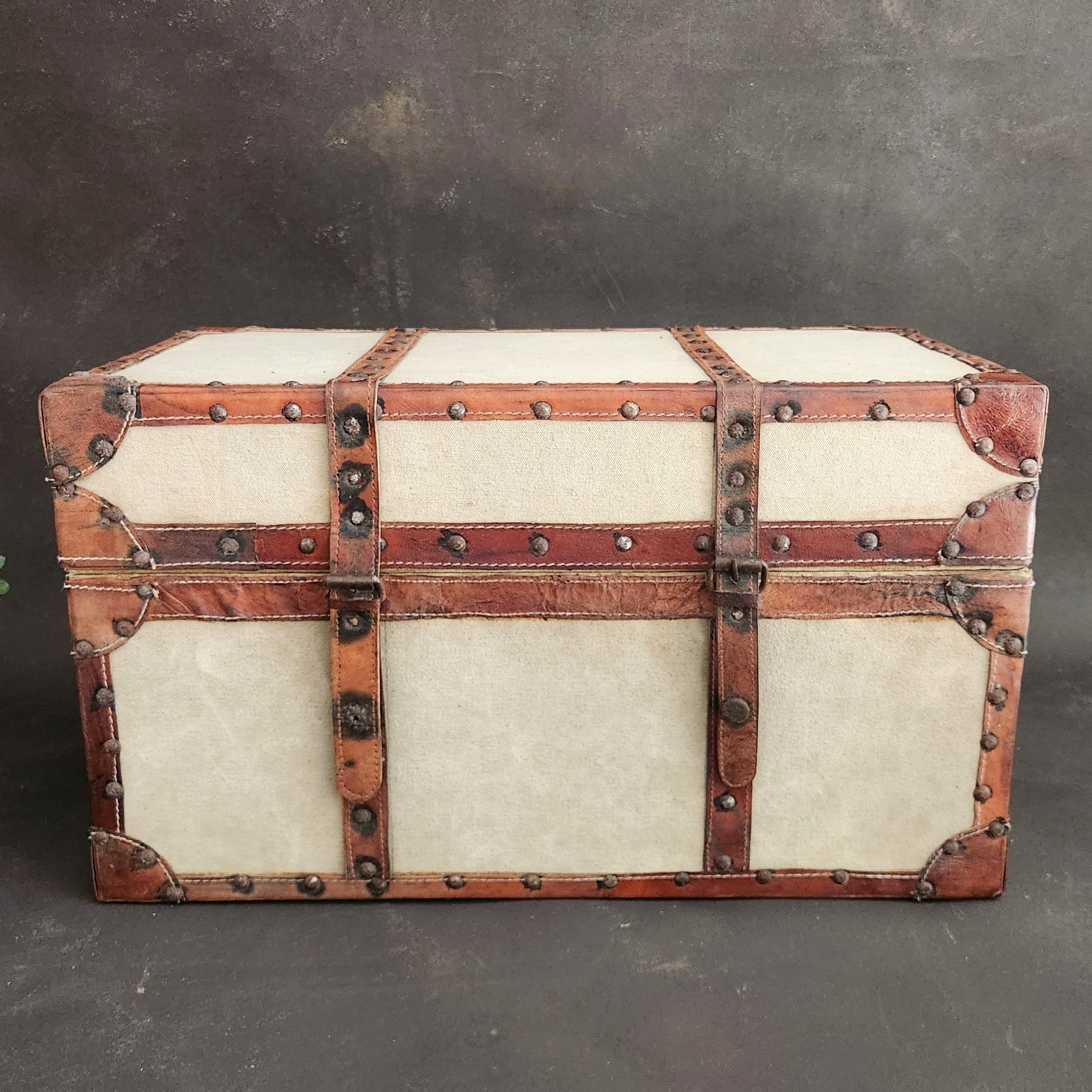 Vintage Canvas and Leather Trunk