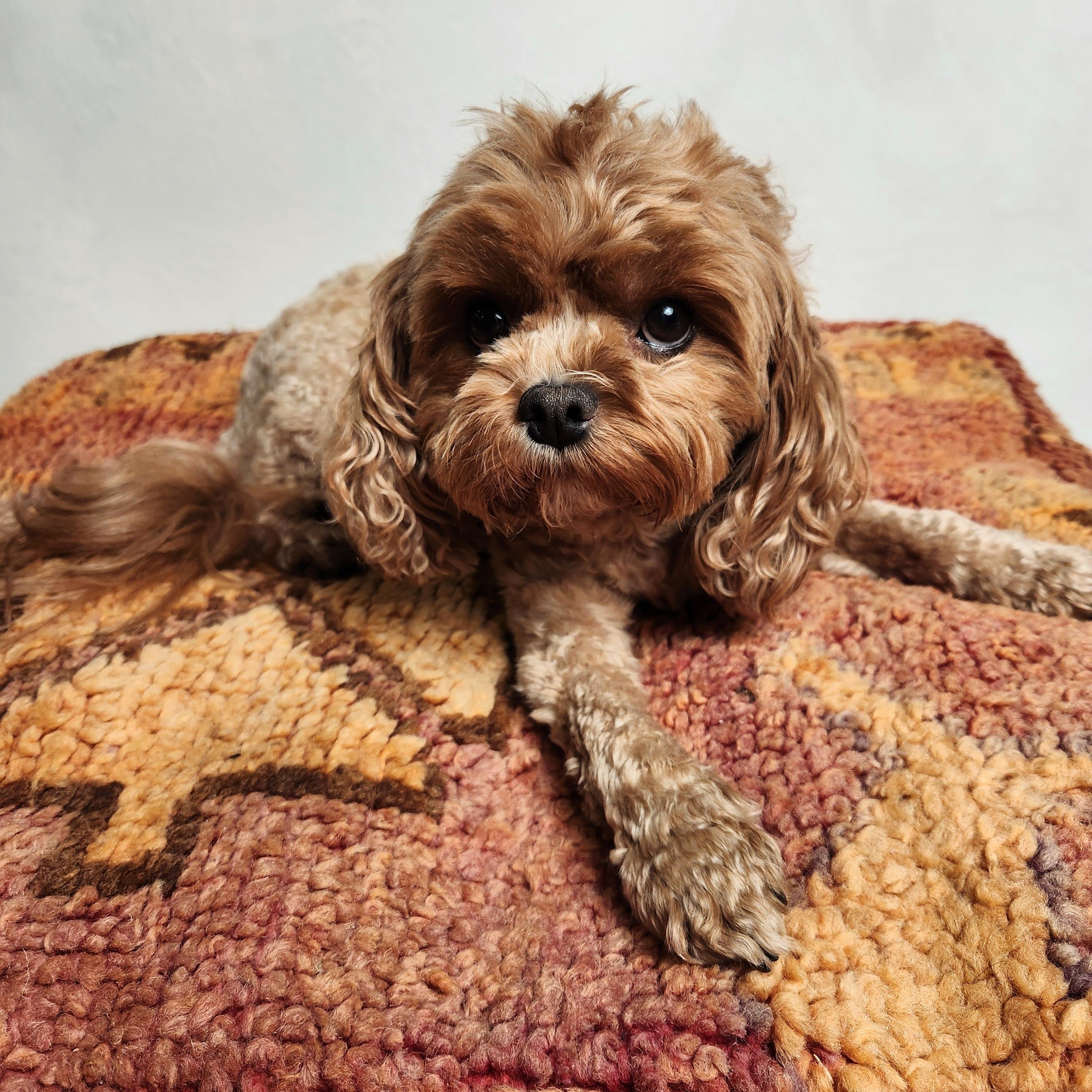 Vintage Moroccan Pouffe - #8