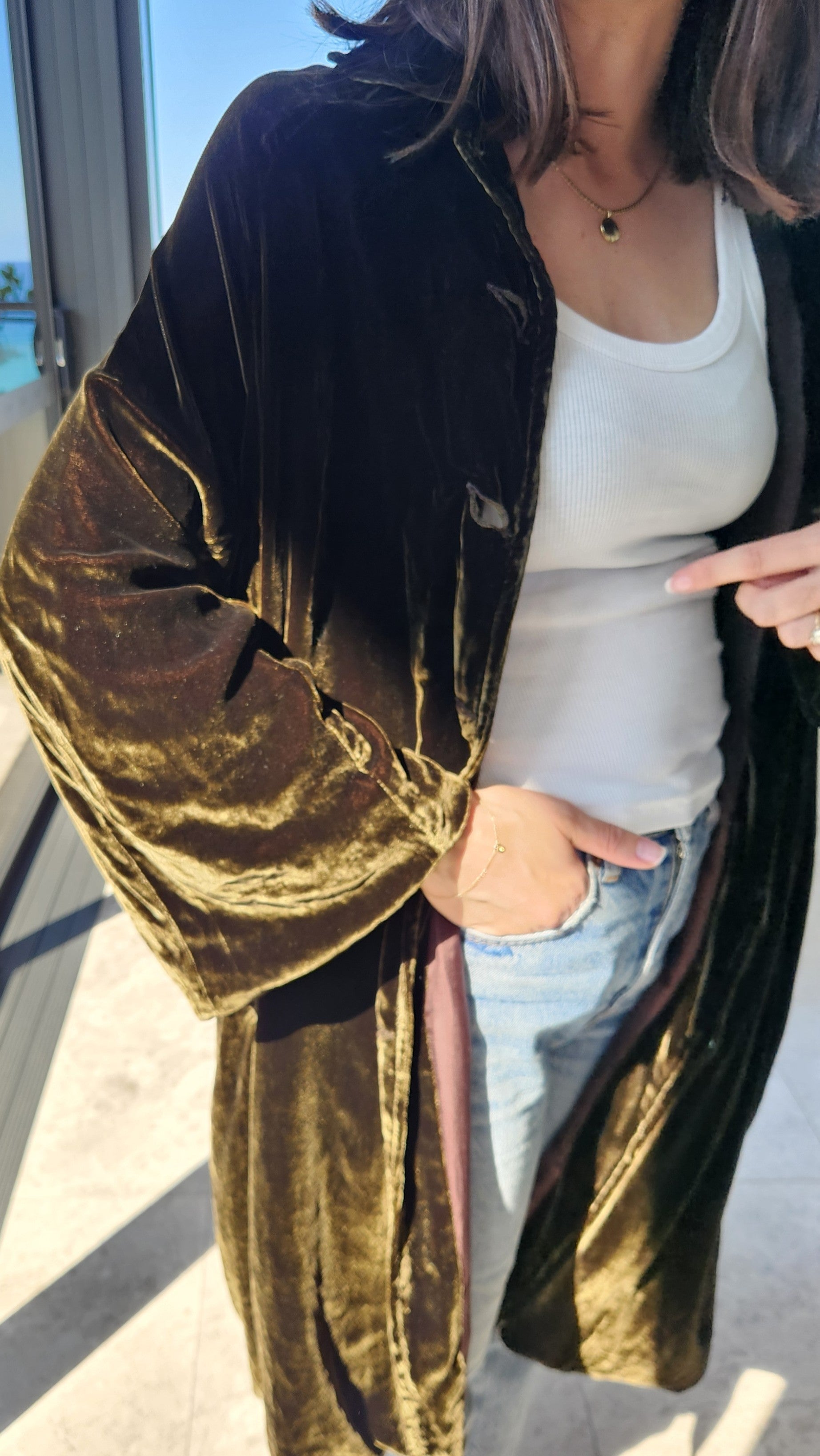 Claudia Silk Velvet Coat - Chocolate / Olive