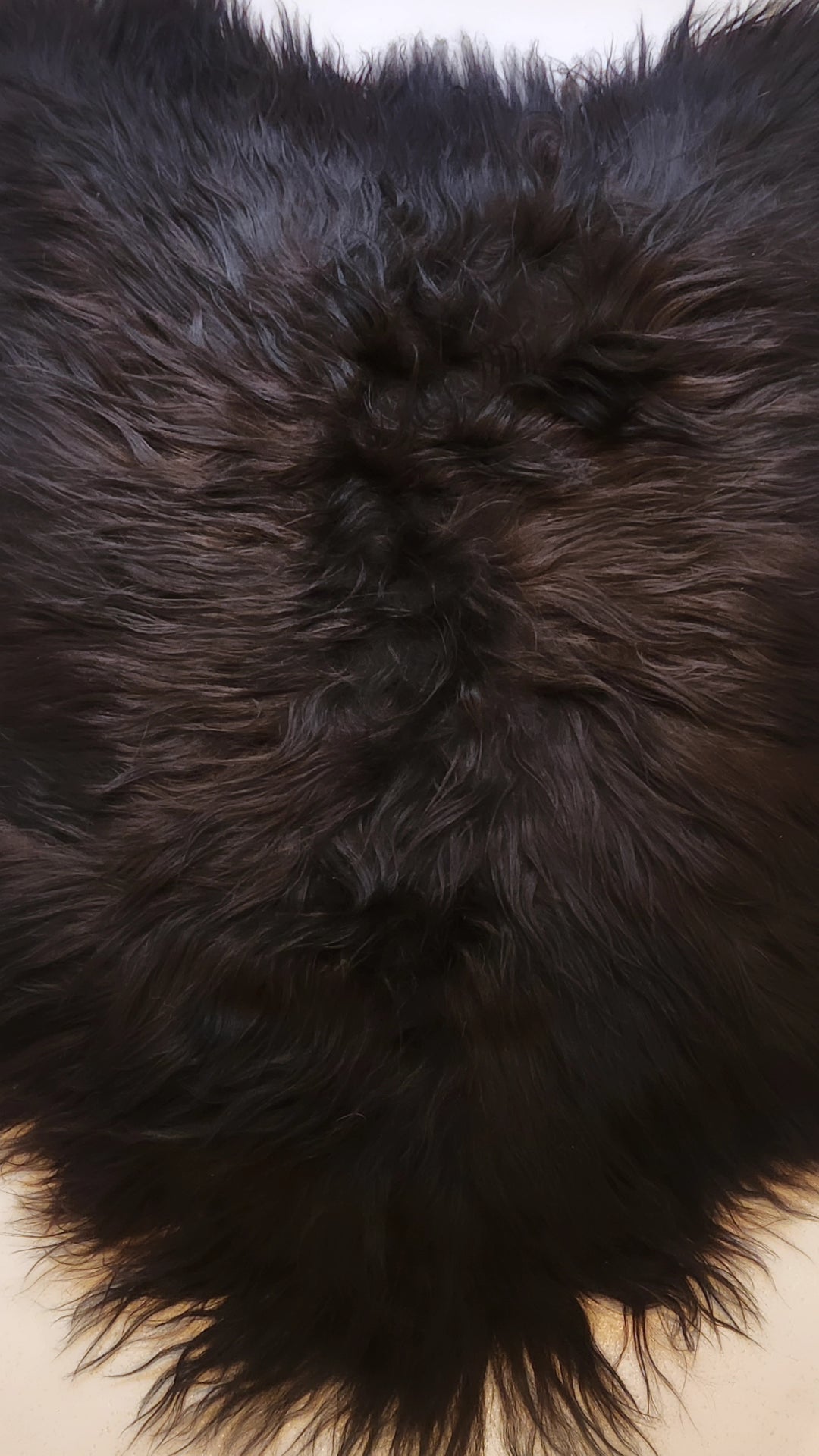 Icelandic Sheepskin - Espresso / Nero