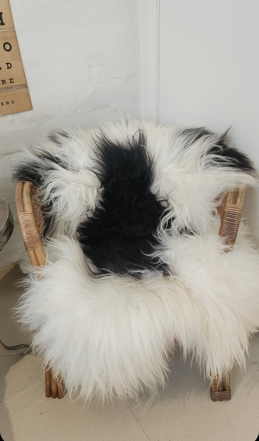 Icelandic Sheepskin - Black/White