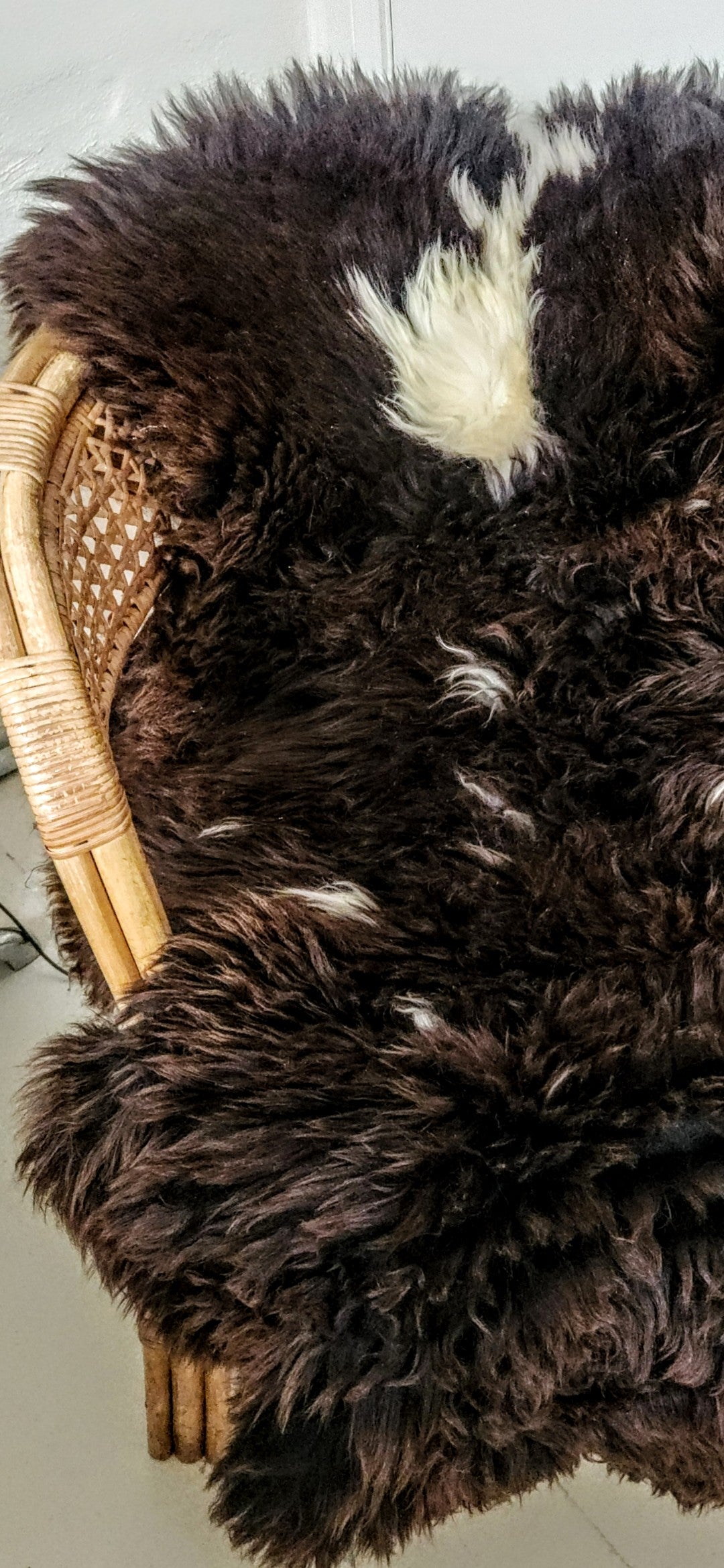 British Sheepskin - "Oreo"