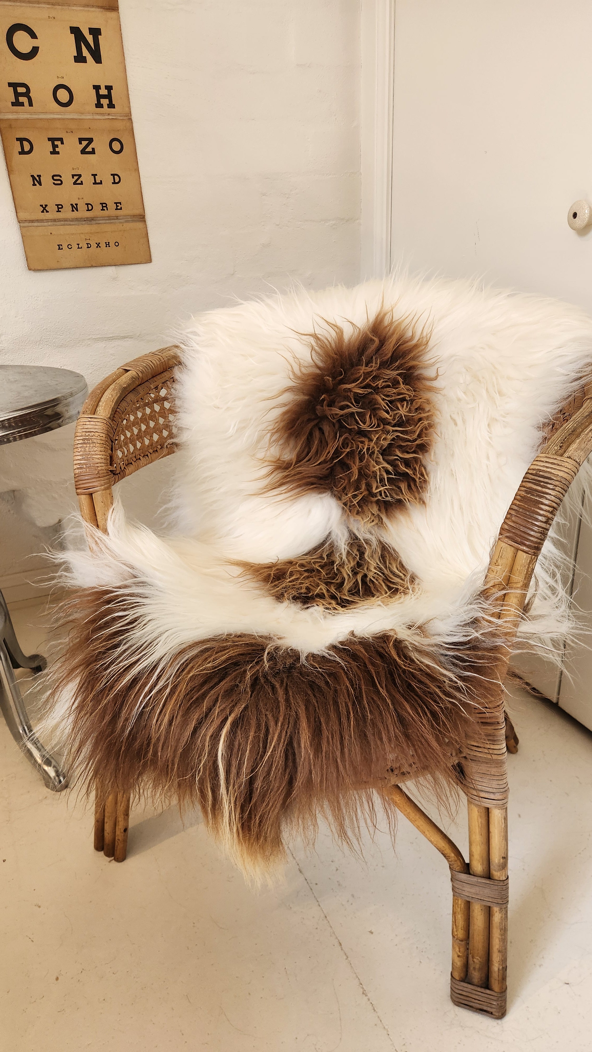 Icelandic Sheepskin - White & Caramel