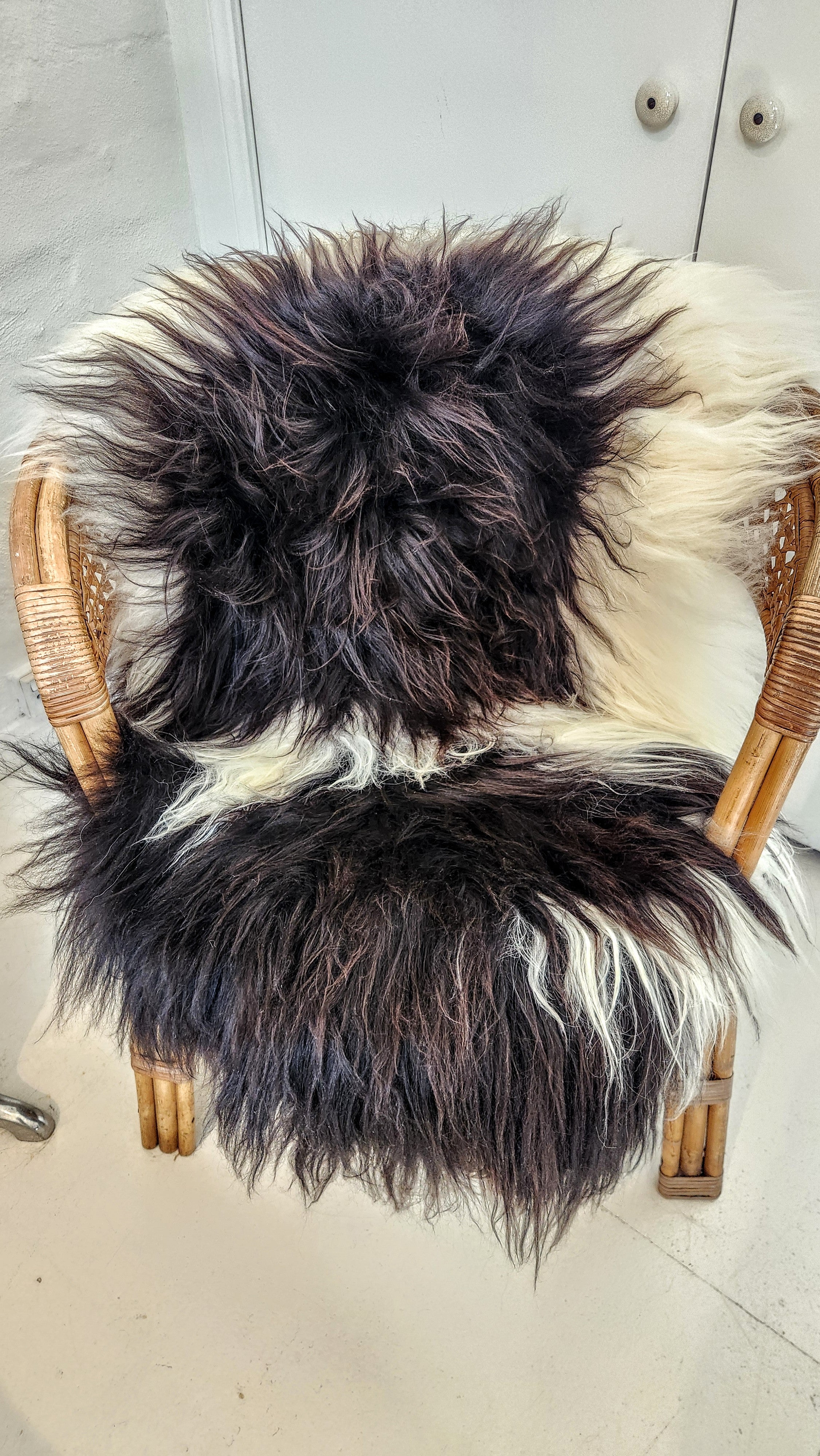 Icelandic Sheepskin - Black/White
