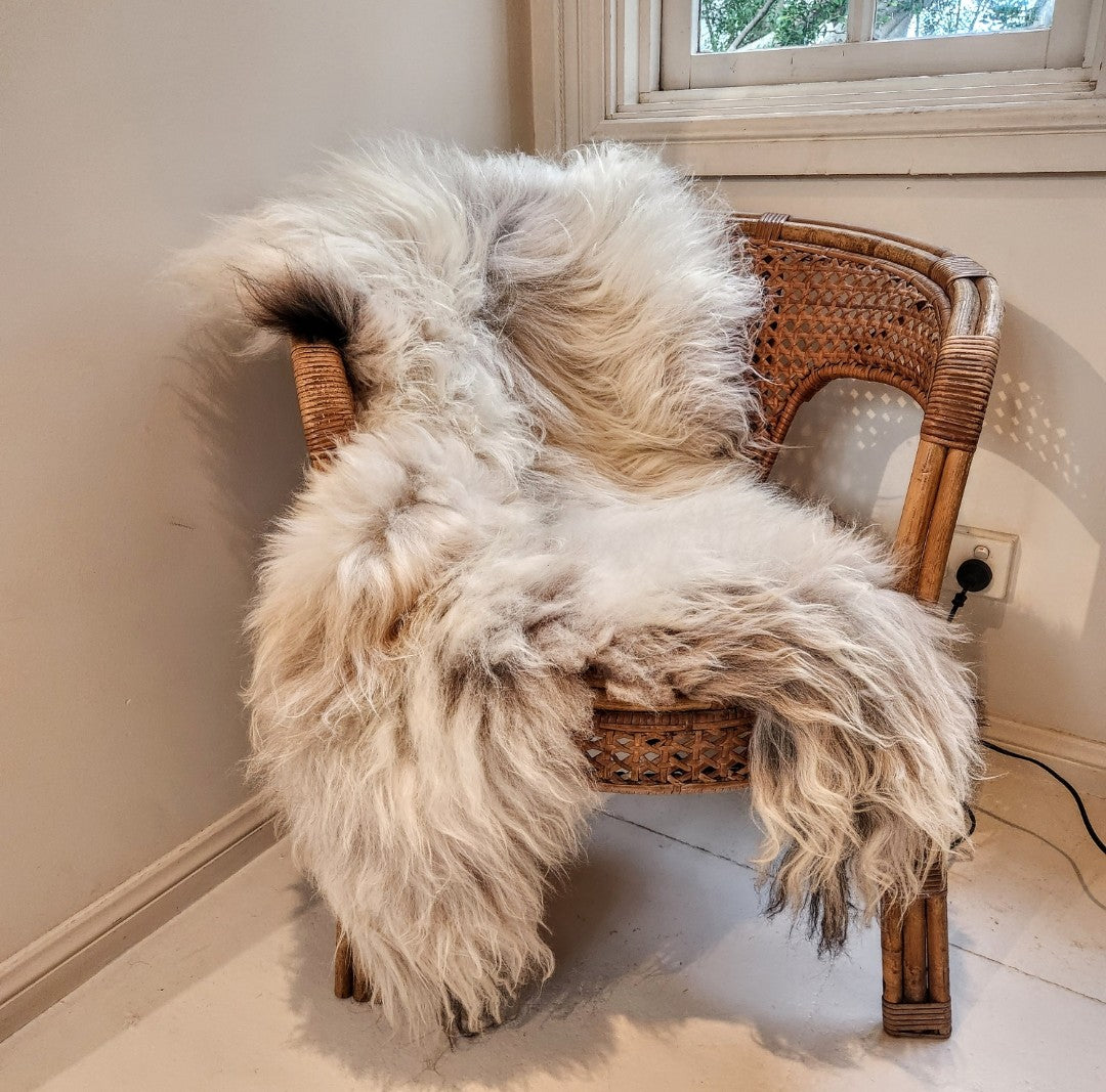 Icelandic Sheepskin - Dark Edges (long hair)