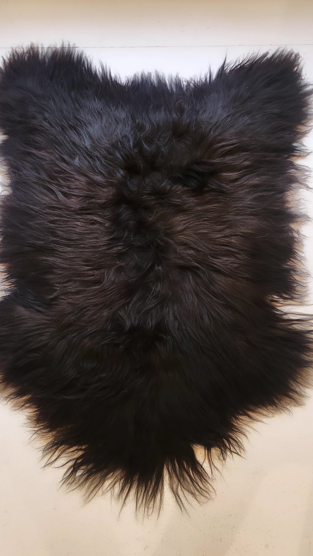 Icelandic Sheepskin - Espresso / Nero