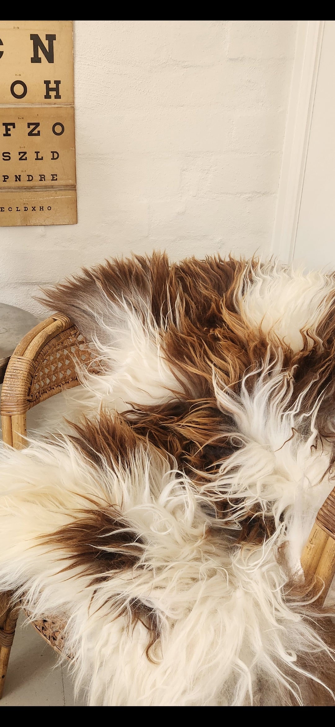 Icelandic Sheepskin - Caramel & White