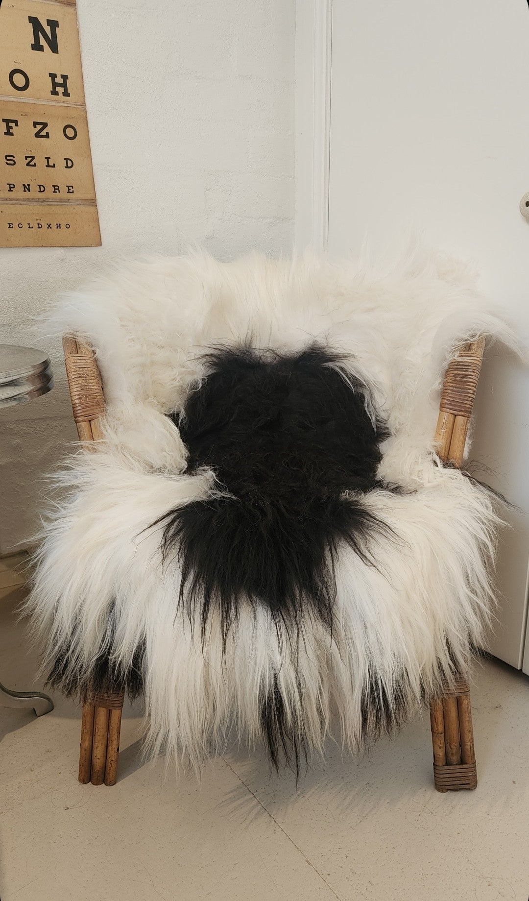 Icelandic Sheepskin - Black/White