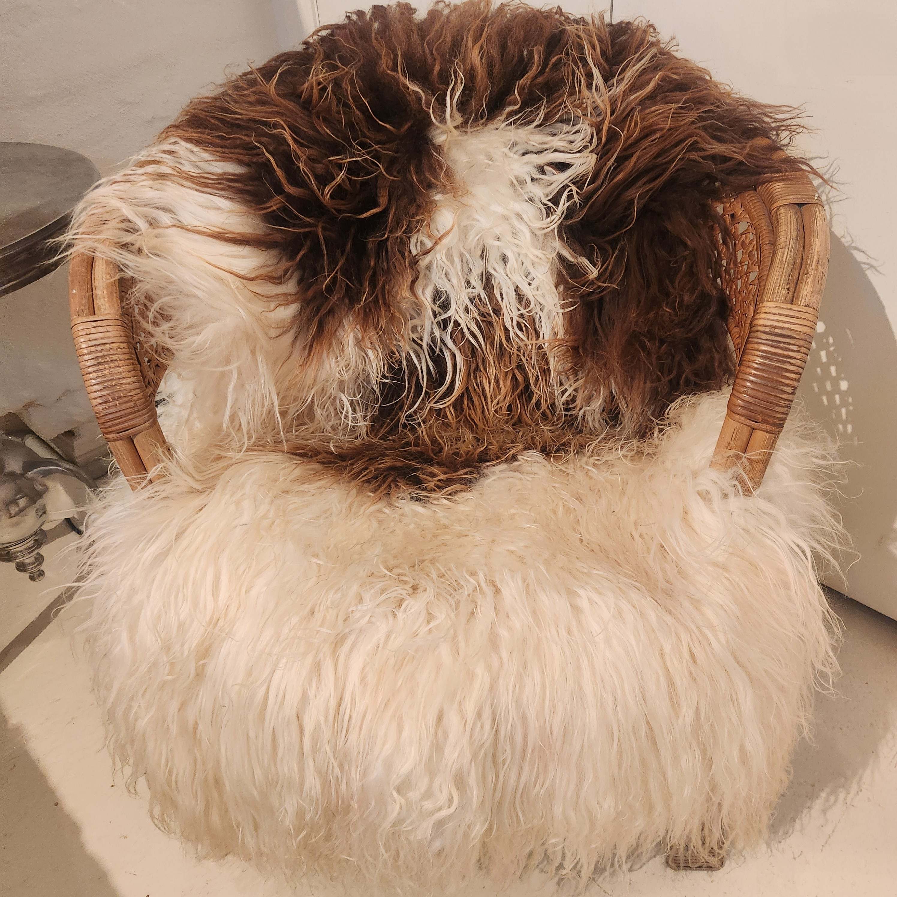 Greenlandic Sheepskin - Caramel and White