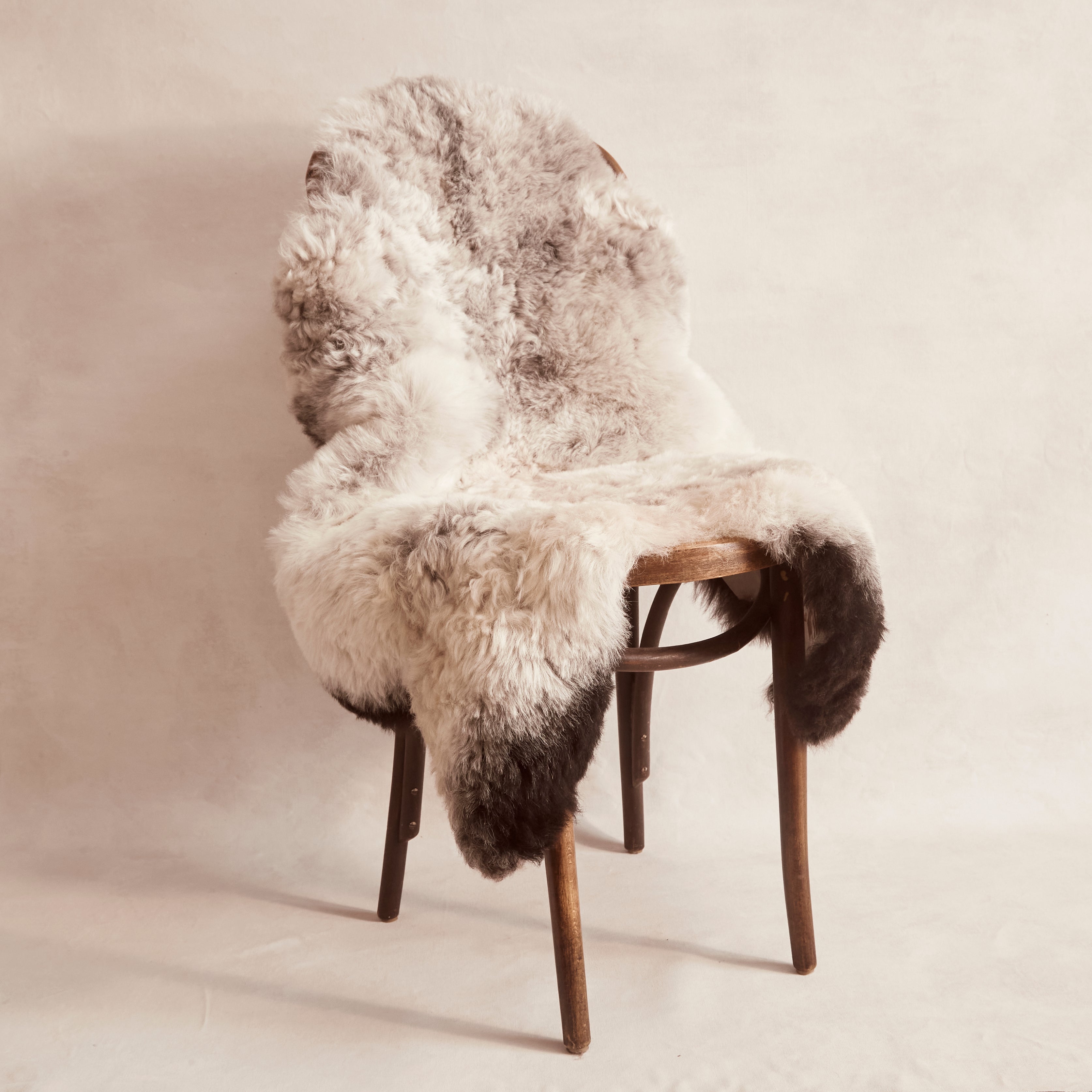 Shorn Icelandic Sheepskin - Dark Edges