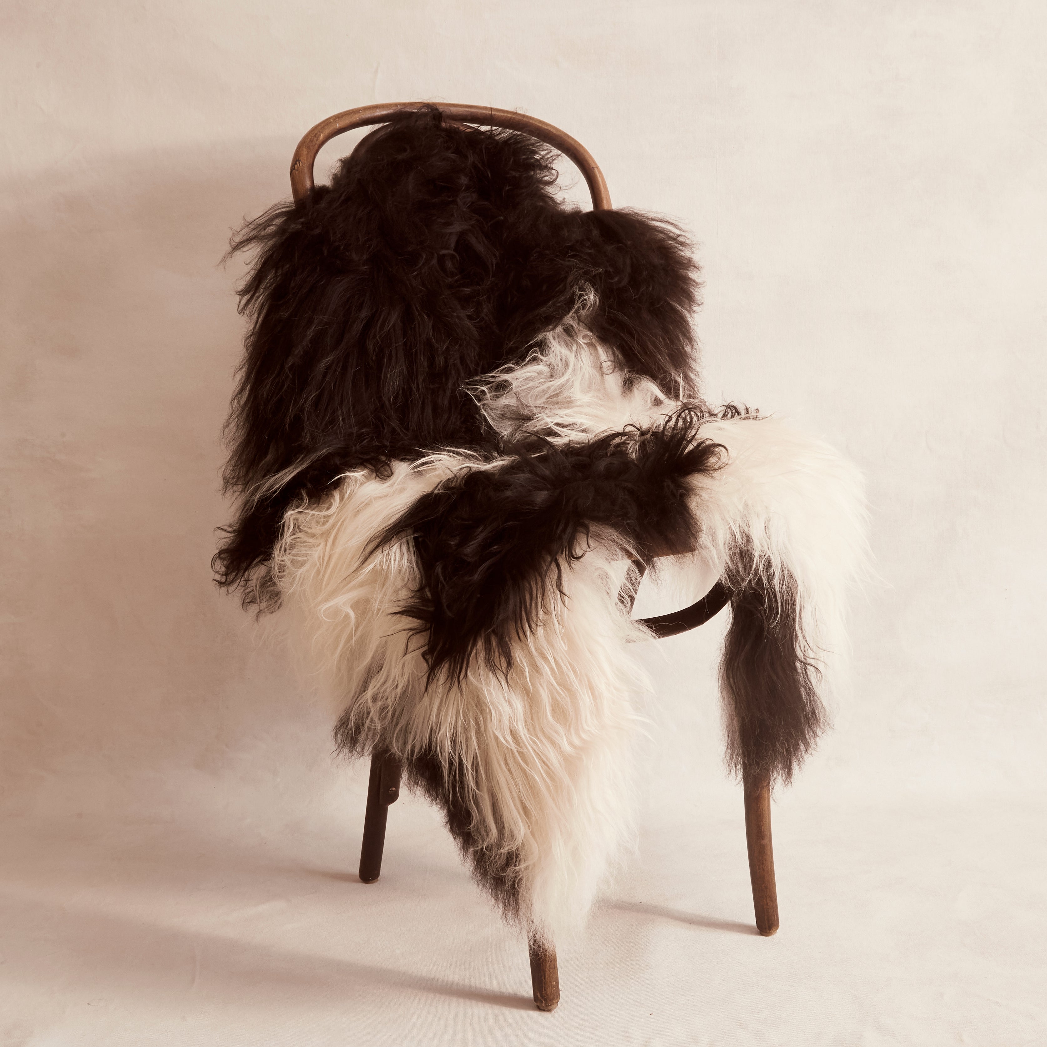 Icelandic Sheepskin - Black/White