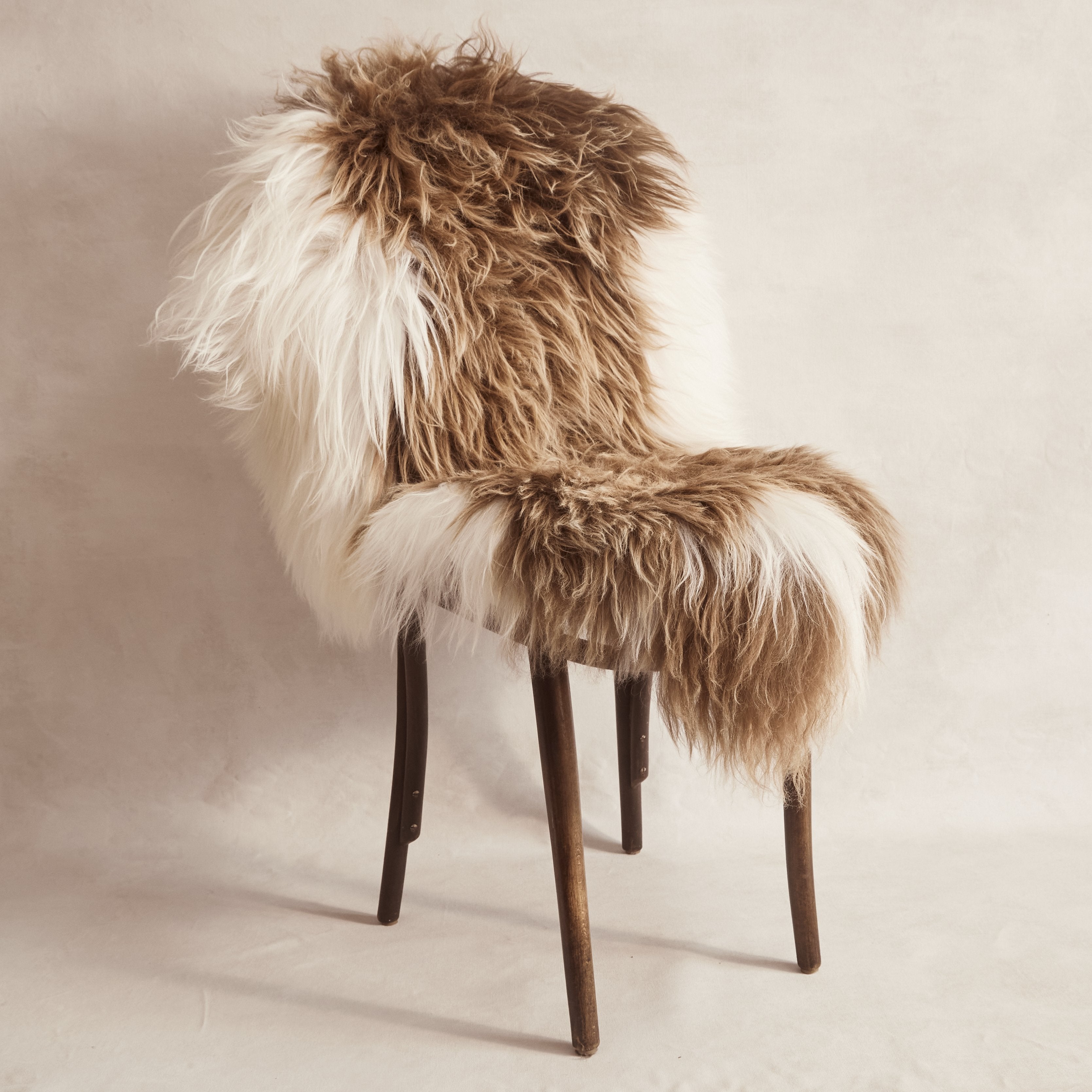 Icelandic Sheepskin - Caramel & White