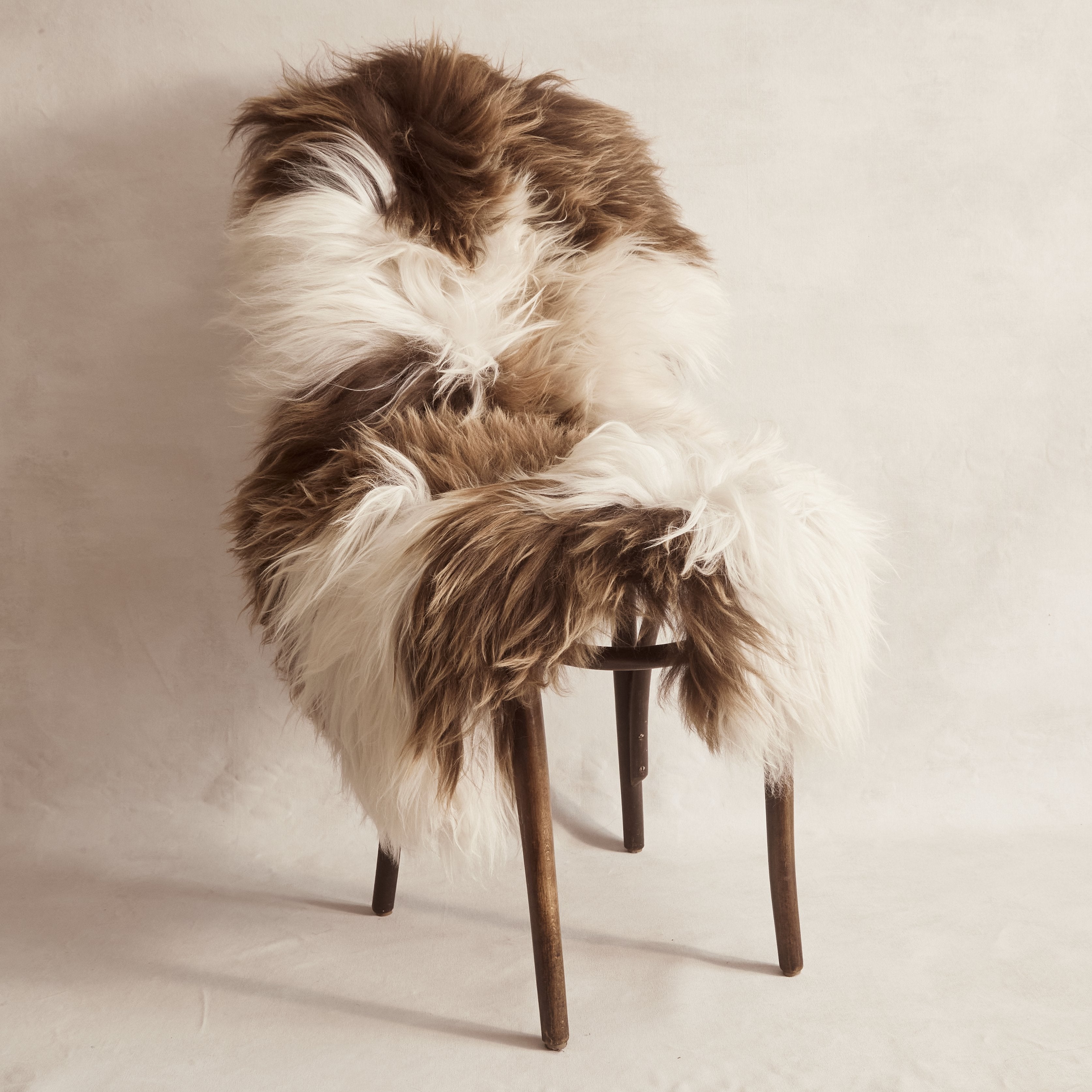 Icelandic Sheepskin - Caramel & White