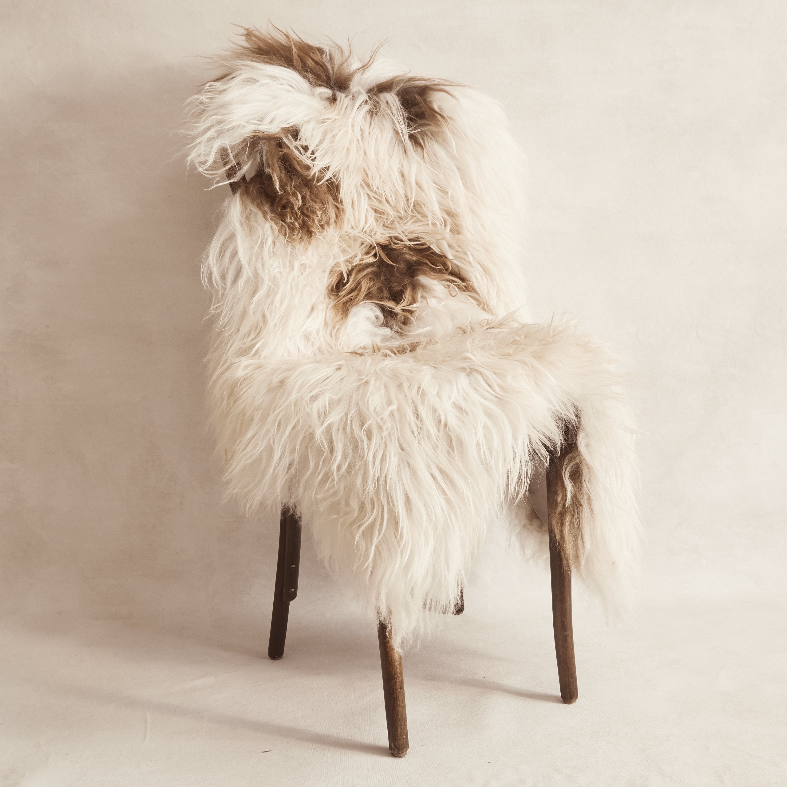 Icelandic Sheepskin - Caramel & White