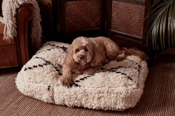 Pup rug dog bed best sale