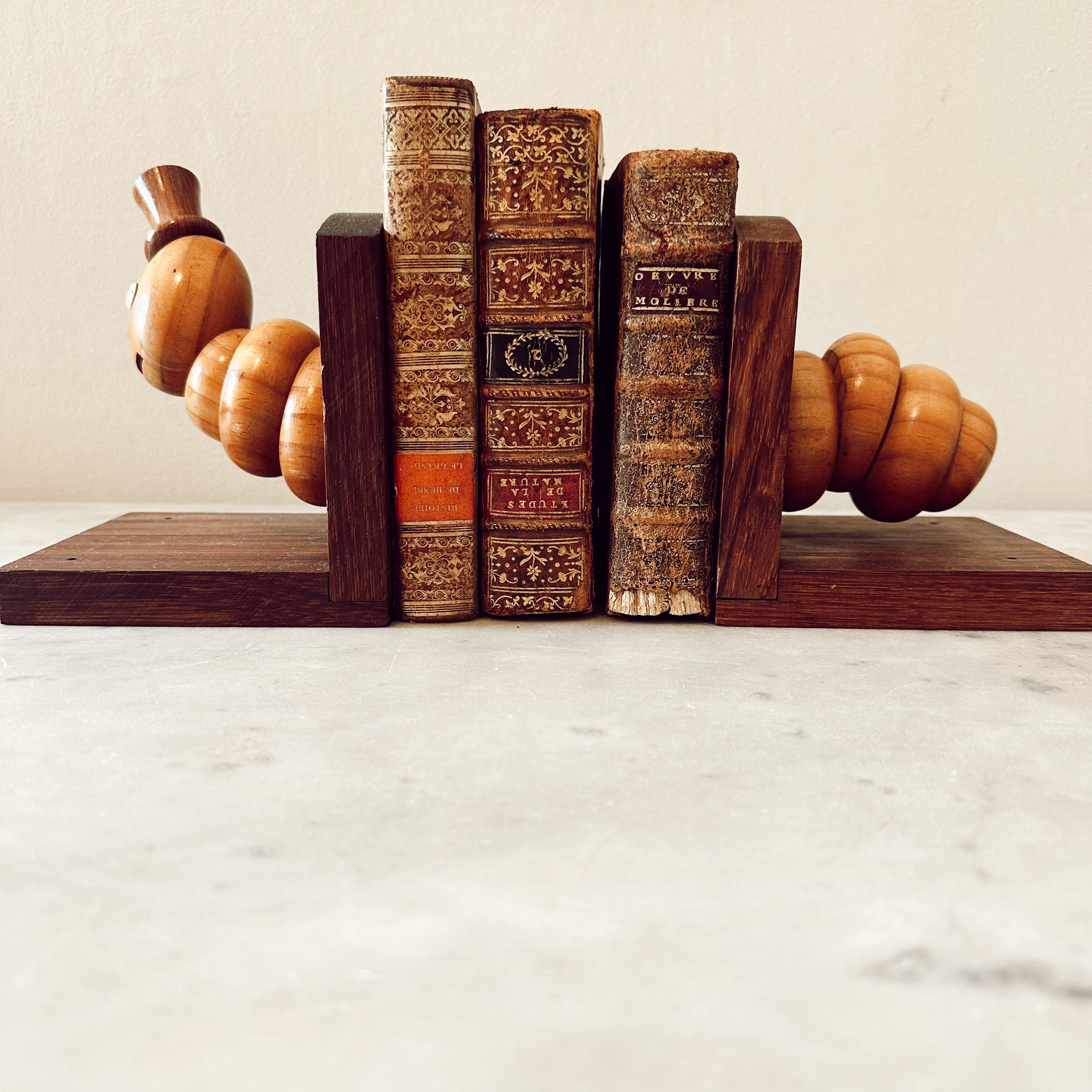Vintage Bookworm bookends