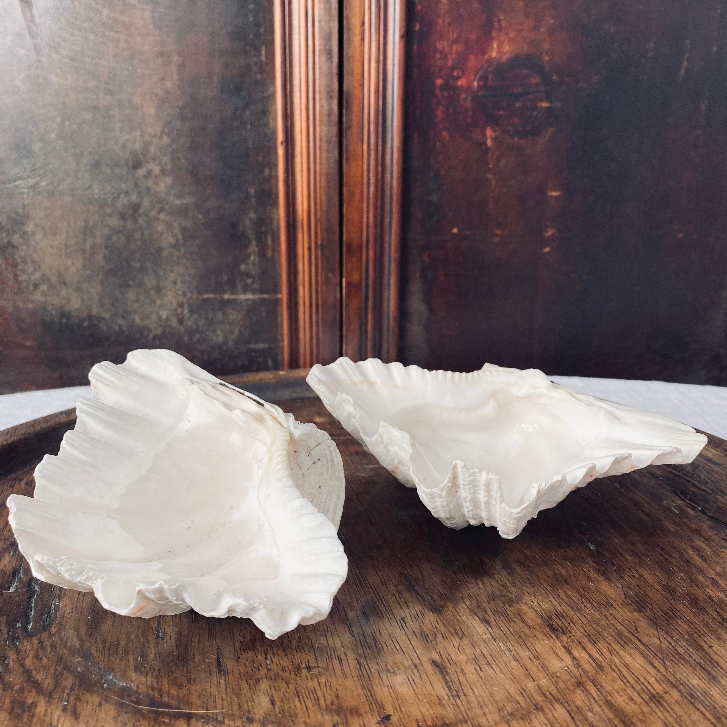 Pair of Petite Vintage Clamshells