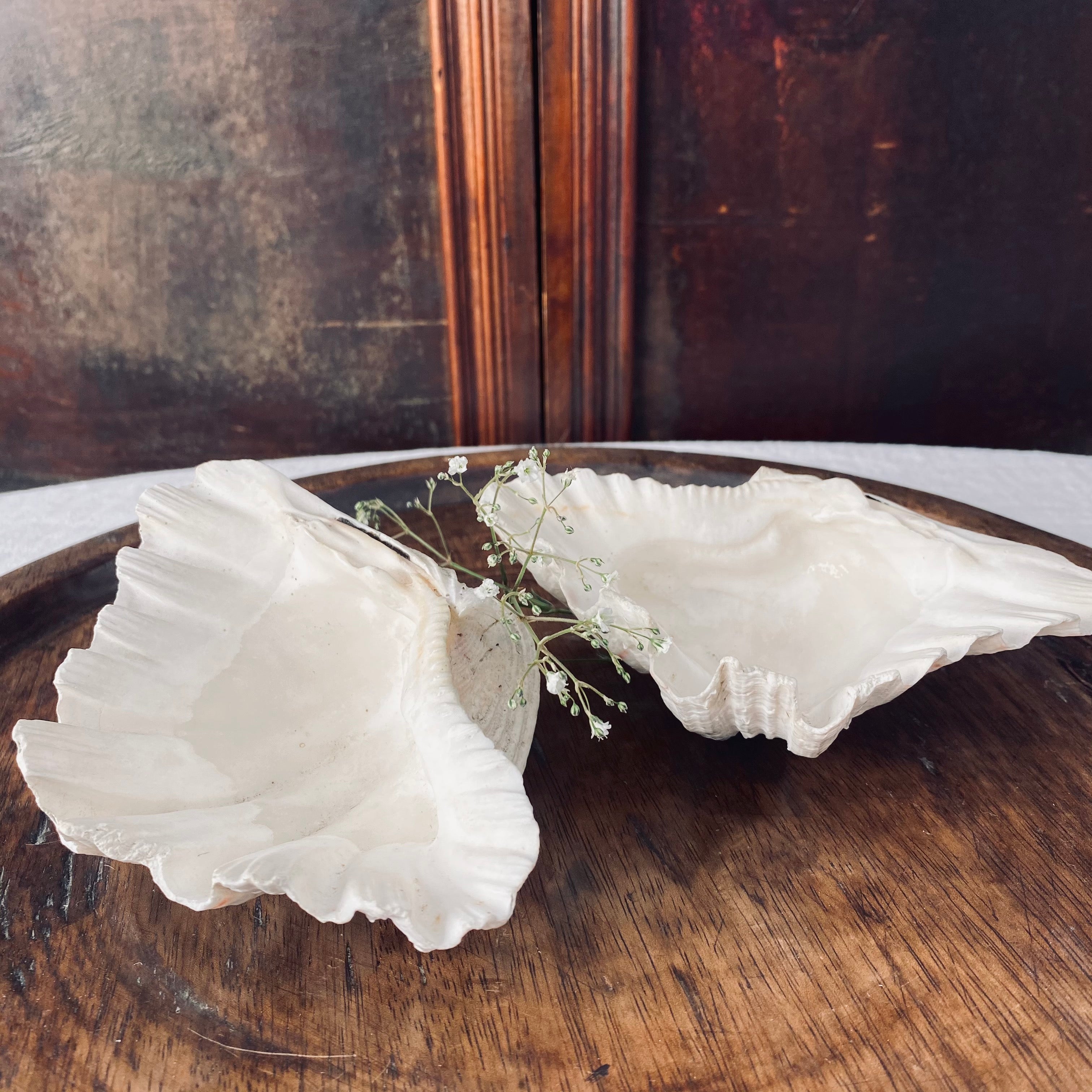 Pair of Petite Vintage Clamshells