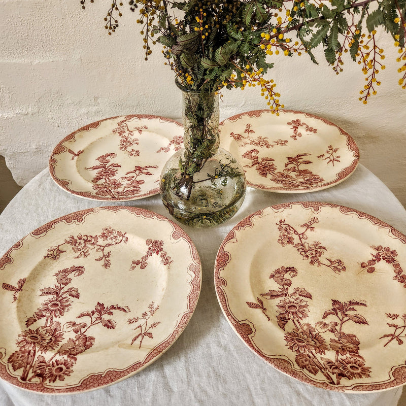 Antique Soliel Longwy Burgundy and White Dandelion Plate