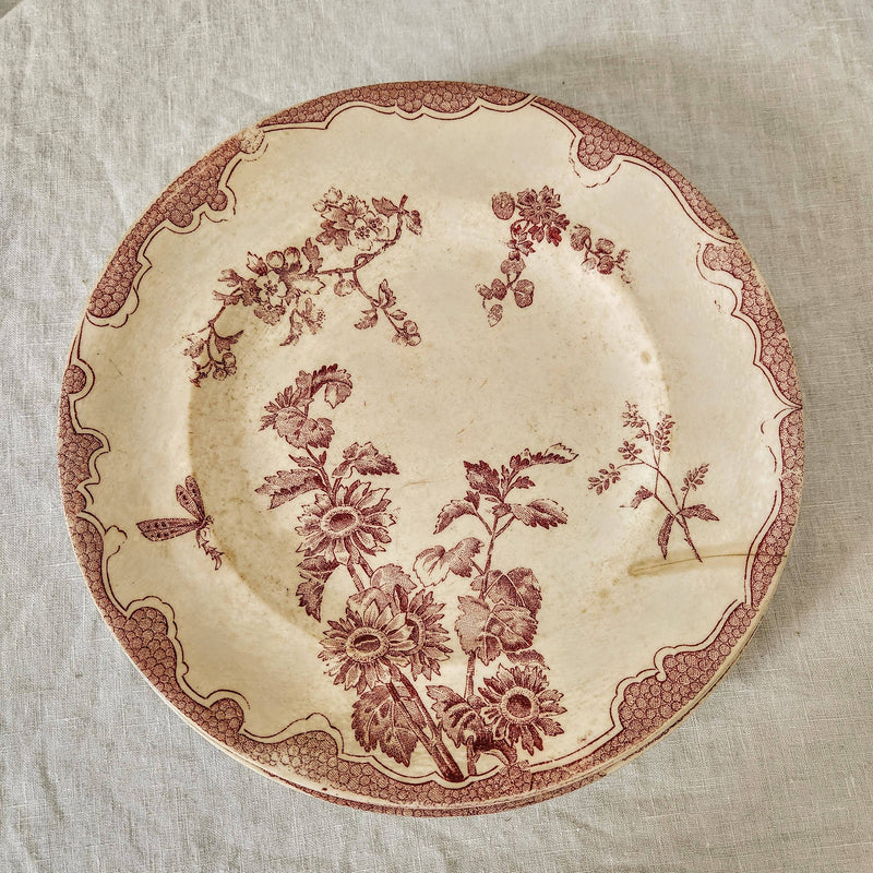 Antique Soliel Longwy Burgundy and White Dandelion Plate