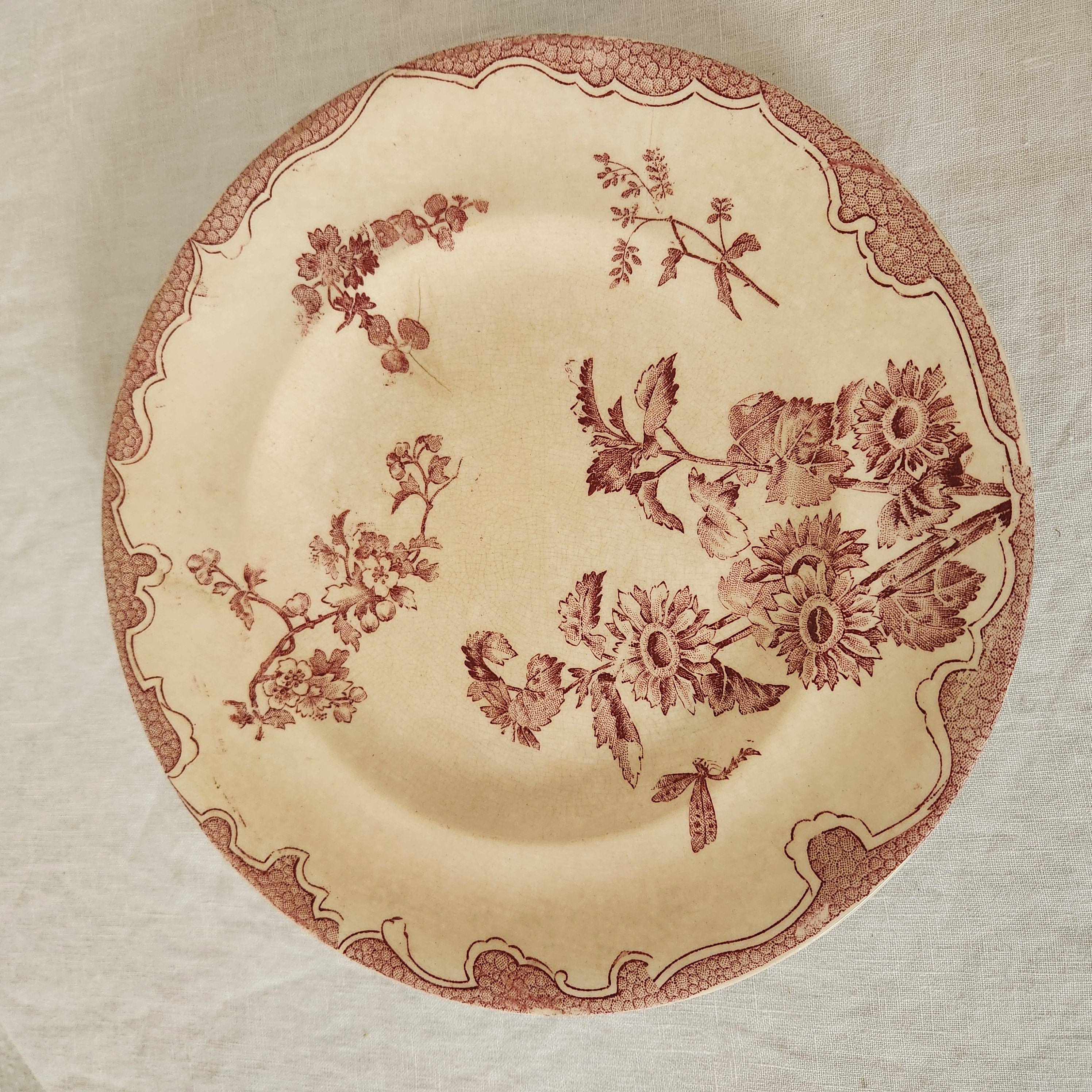 Antique Soliel Longwy Burgundy and White Dandelion Plate