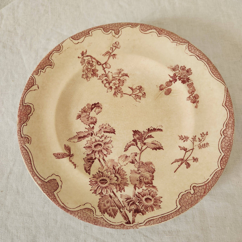 Antique Soliel Longwy Burgundy and White Dandelion Plate