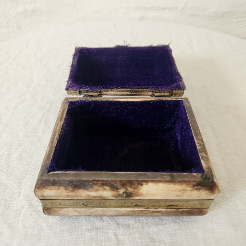 Bone and Brass Hinged Box with clasp