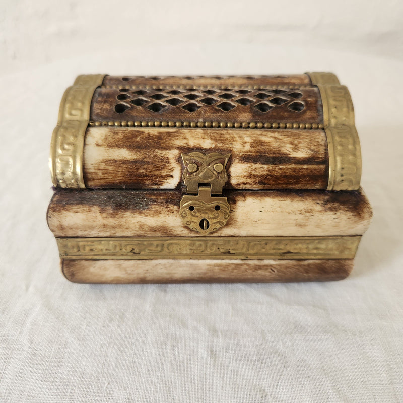 Bone and Brass Hinged Box with clasp