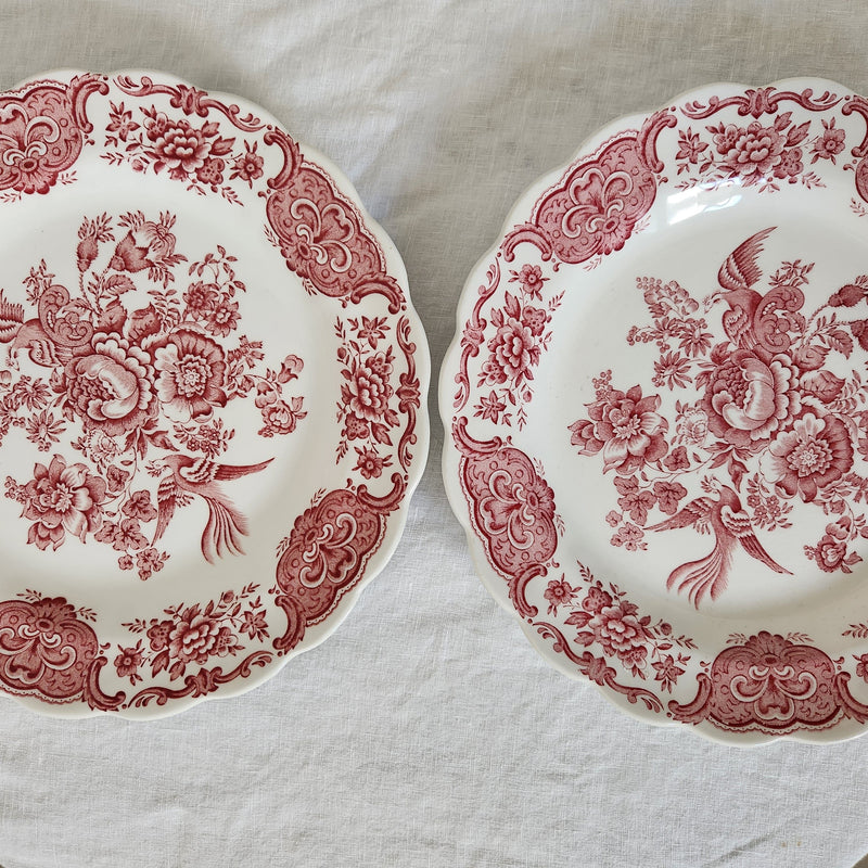 Vintage 1970’s Asiatic Pheasant Dinner Plates