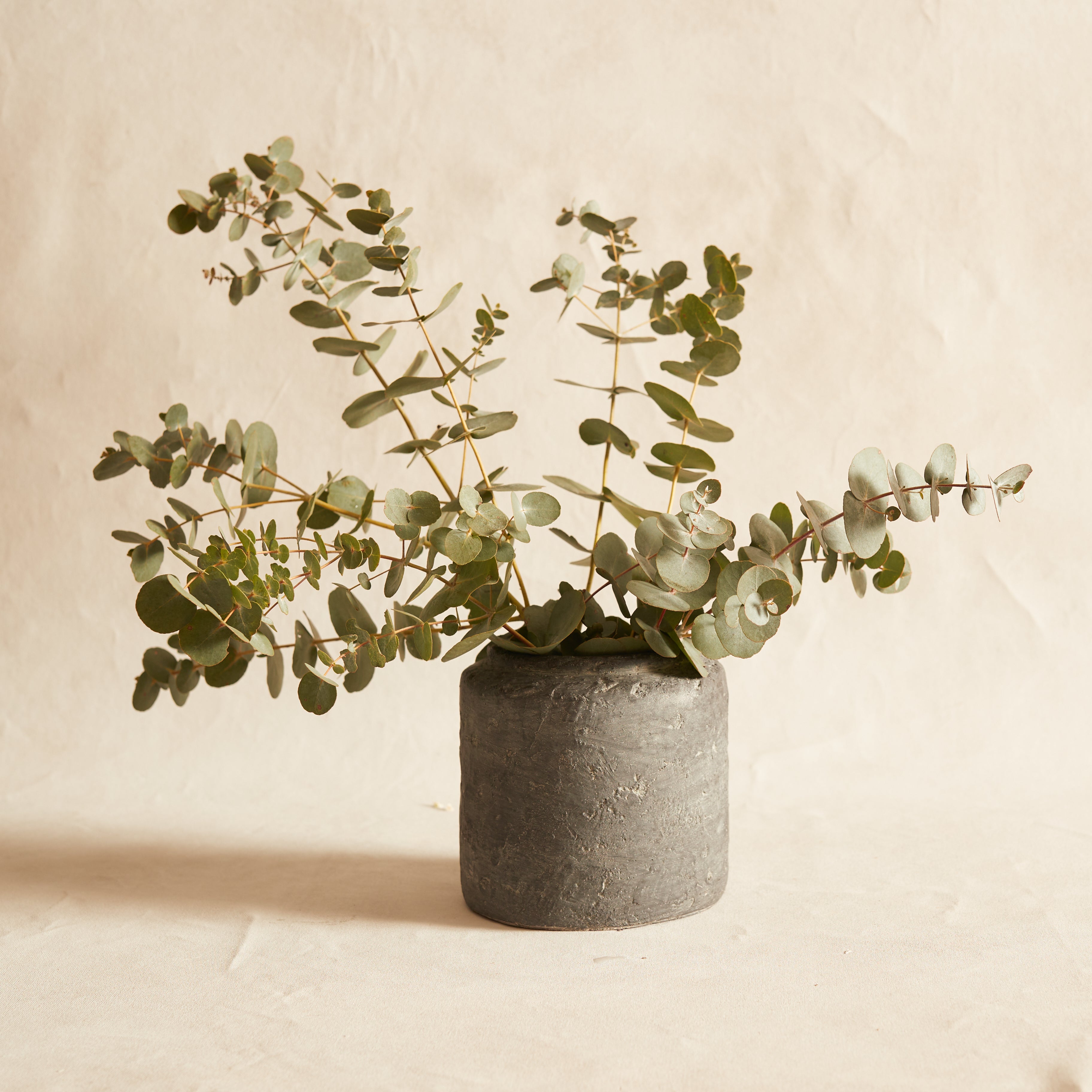 Nuovo Vase