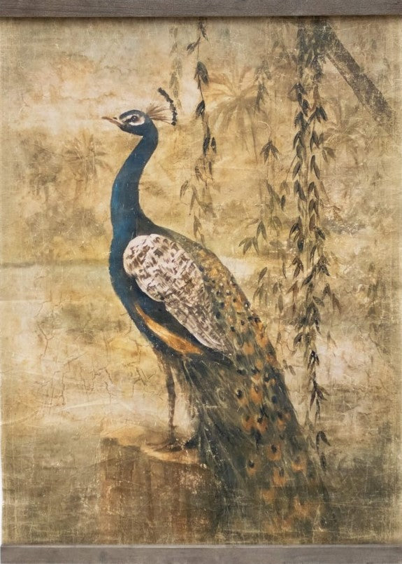 Peacock Canvas Print (with battens)