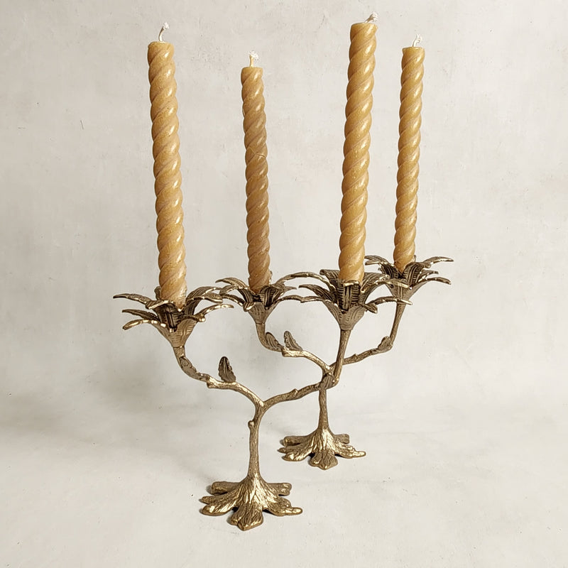 Palash double Palm Candleholder