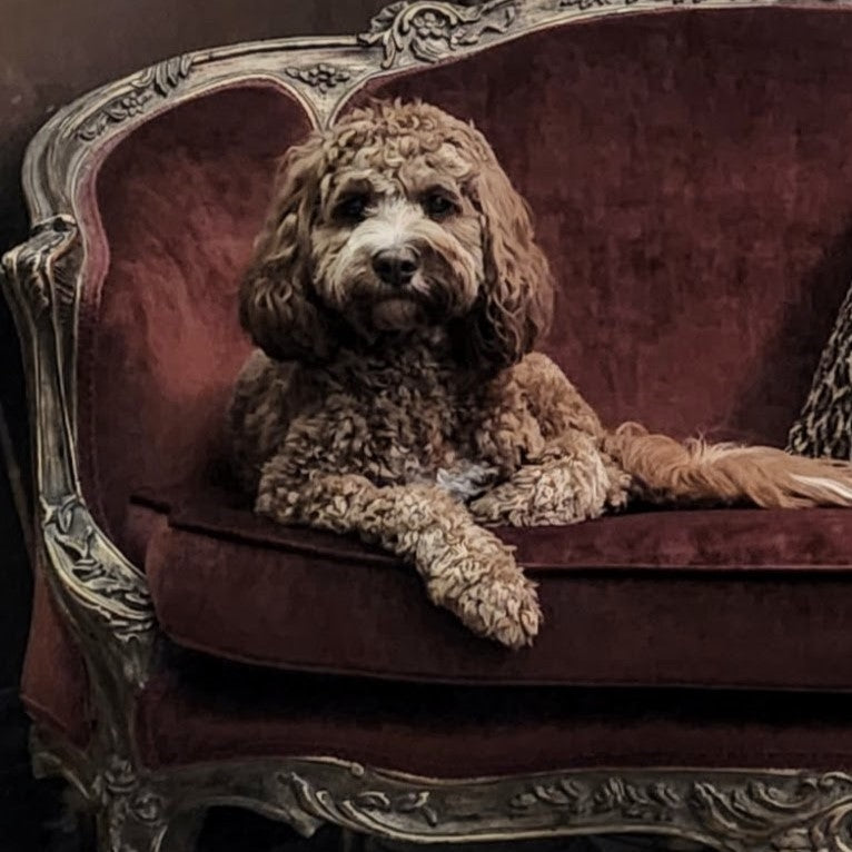 Crimson Velvet Love seat