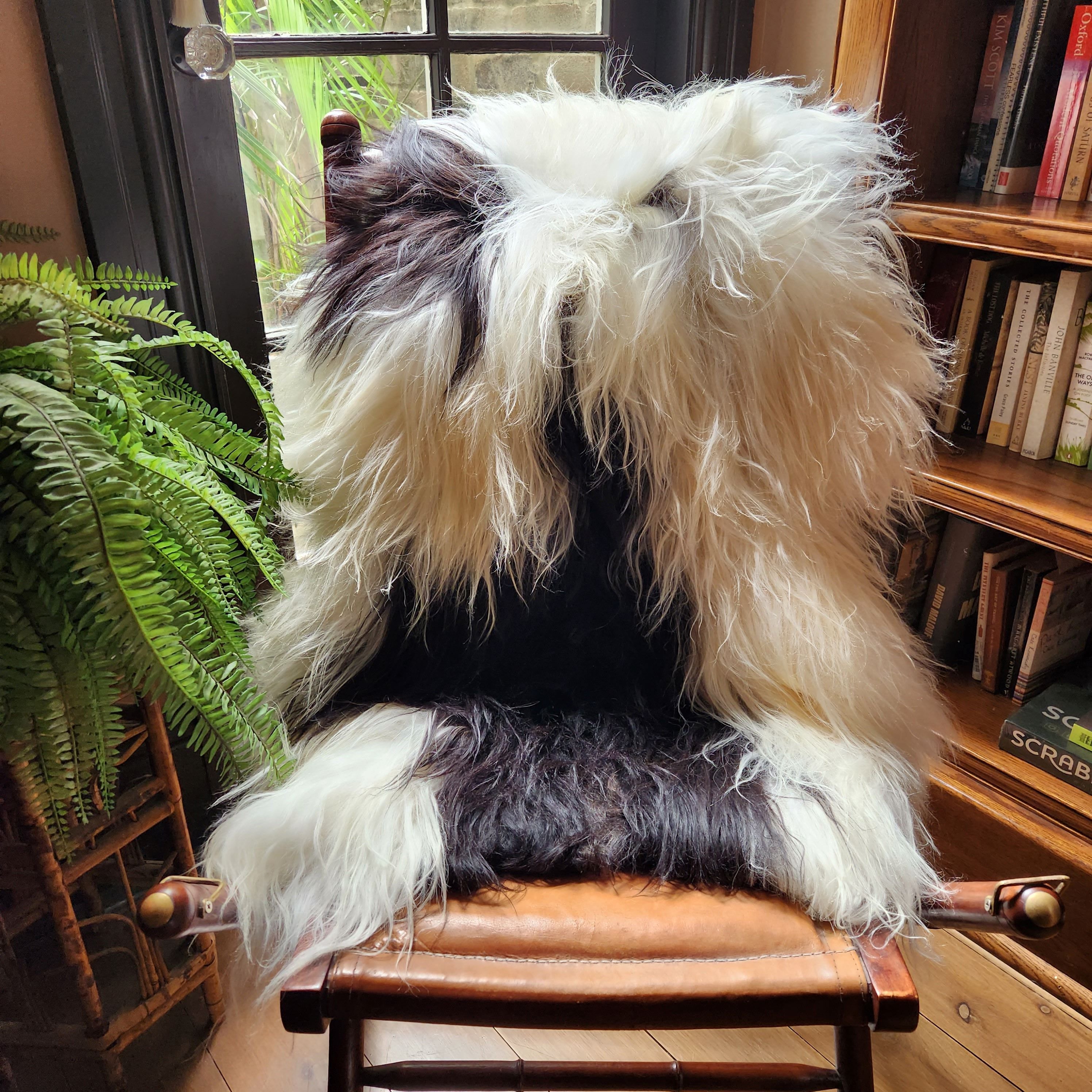 Icelandic Sheepskin - Black/White