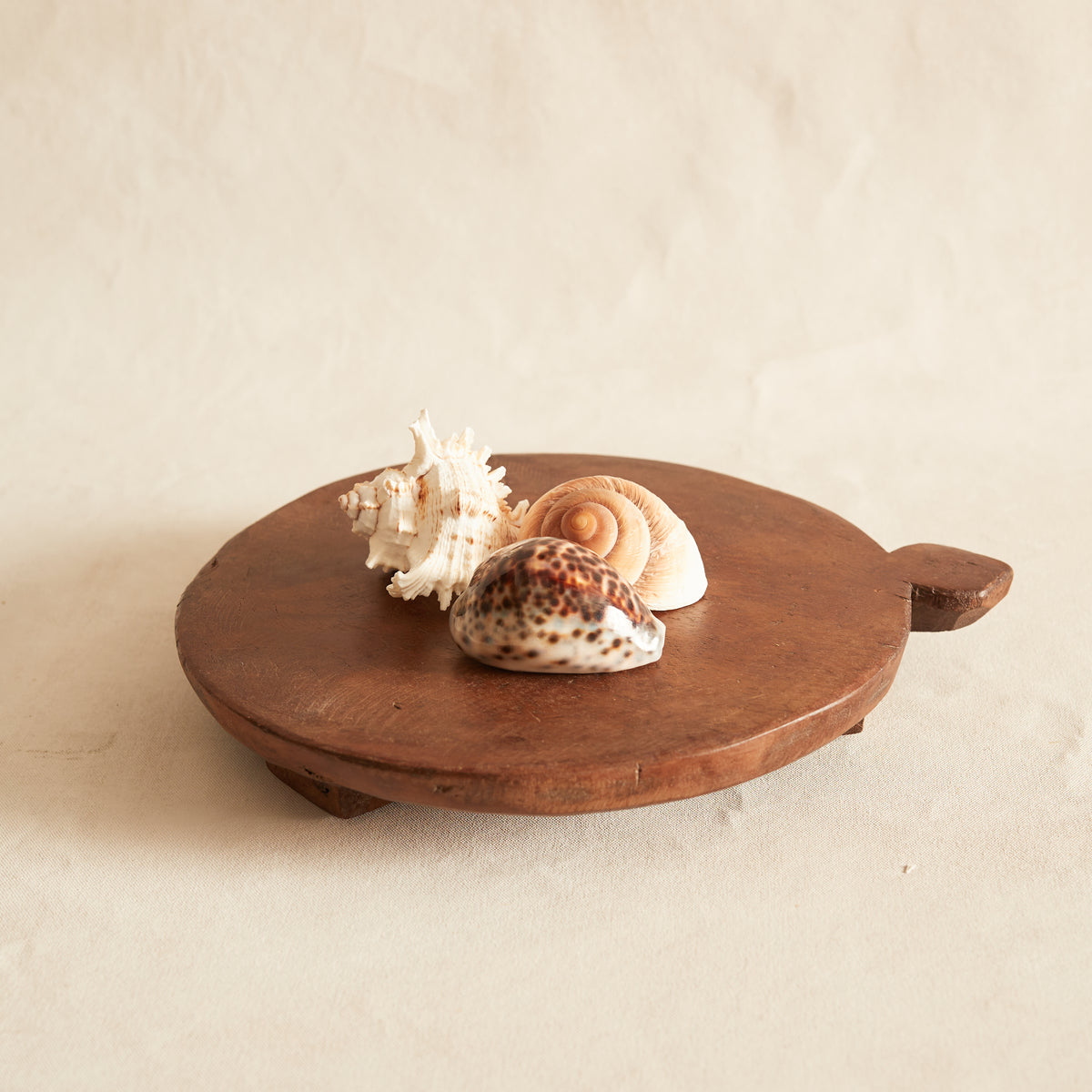Shell Sanle Set of three Sea Shells
